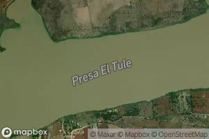 El Tule