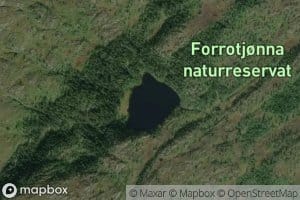 Furutjorna