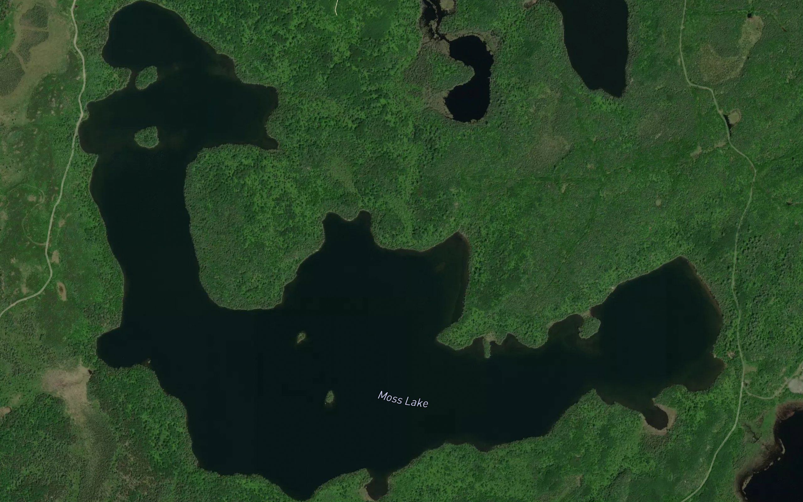 Moss Lake