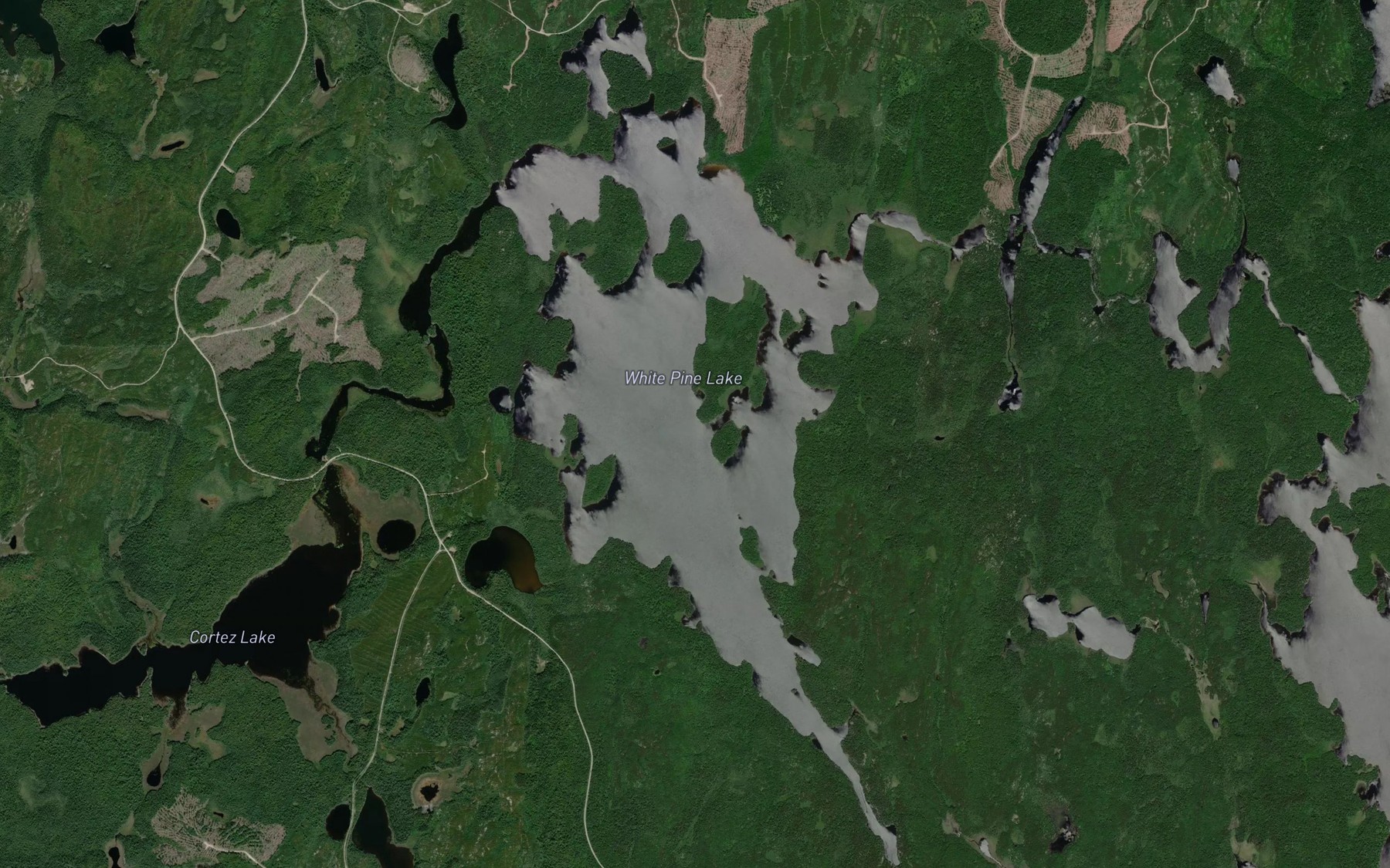 Satellite map of the White Pine Lake
