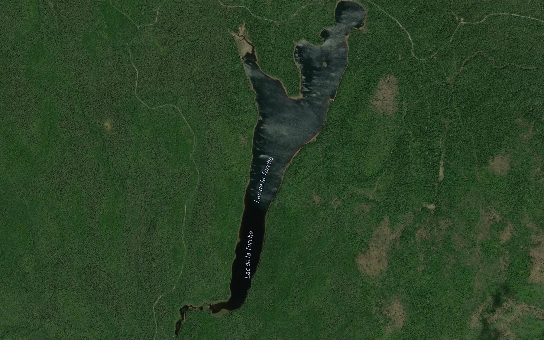 Satellite map of the Lac de la Torche