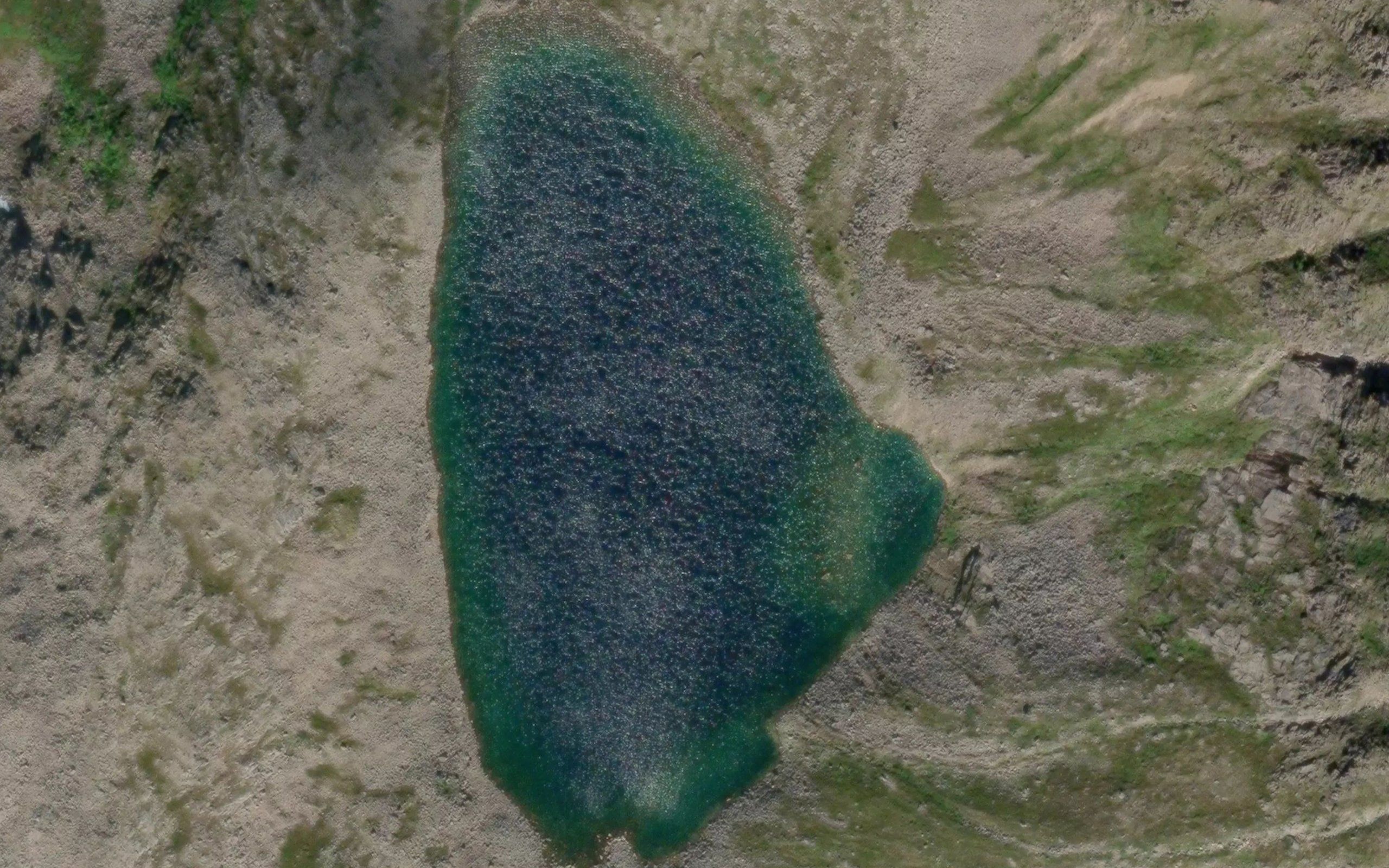 Nonskardvatnan