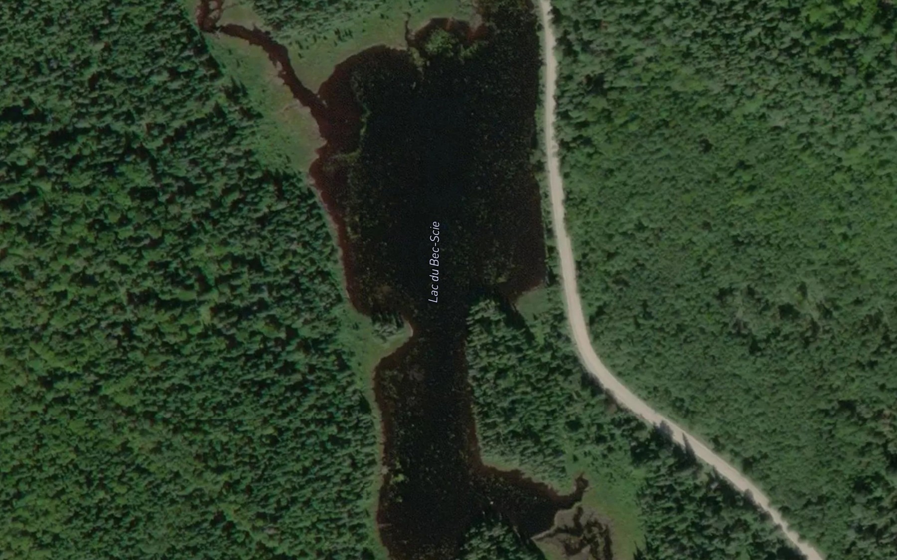 Satellite map of the Lac du Bec-Scie