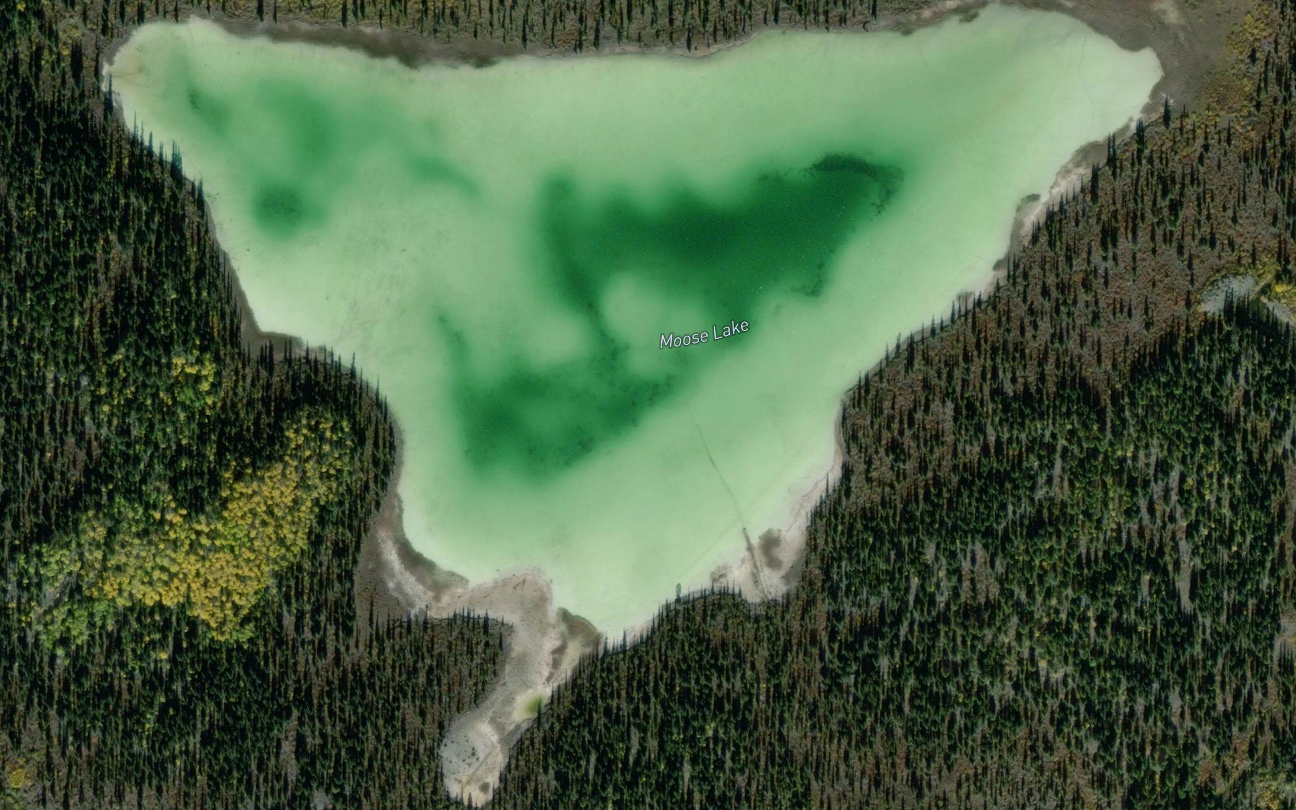 Moose Lake