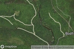 Little Wilson Stream