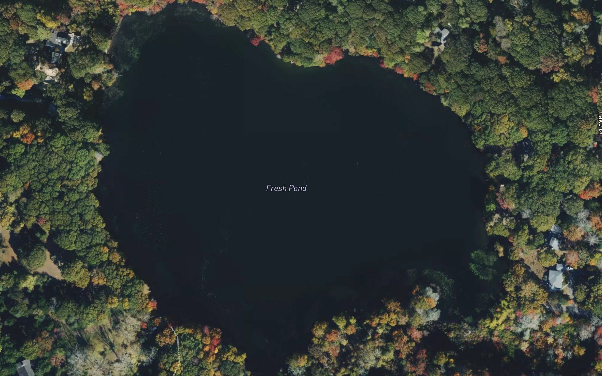 Fresh Pond