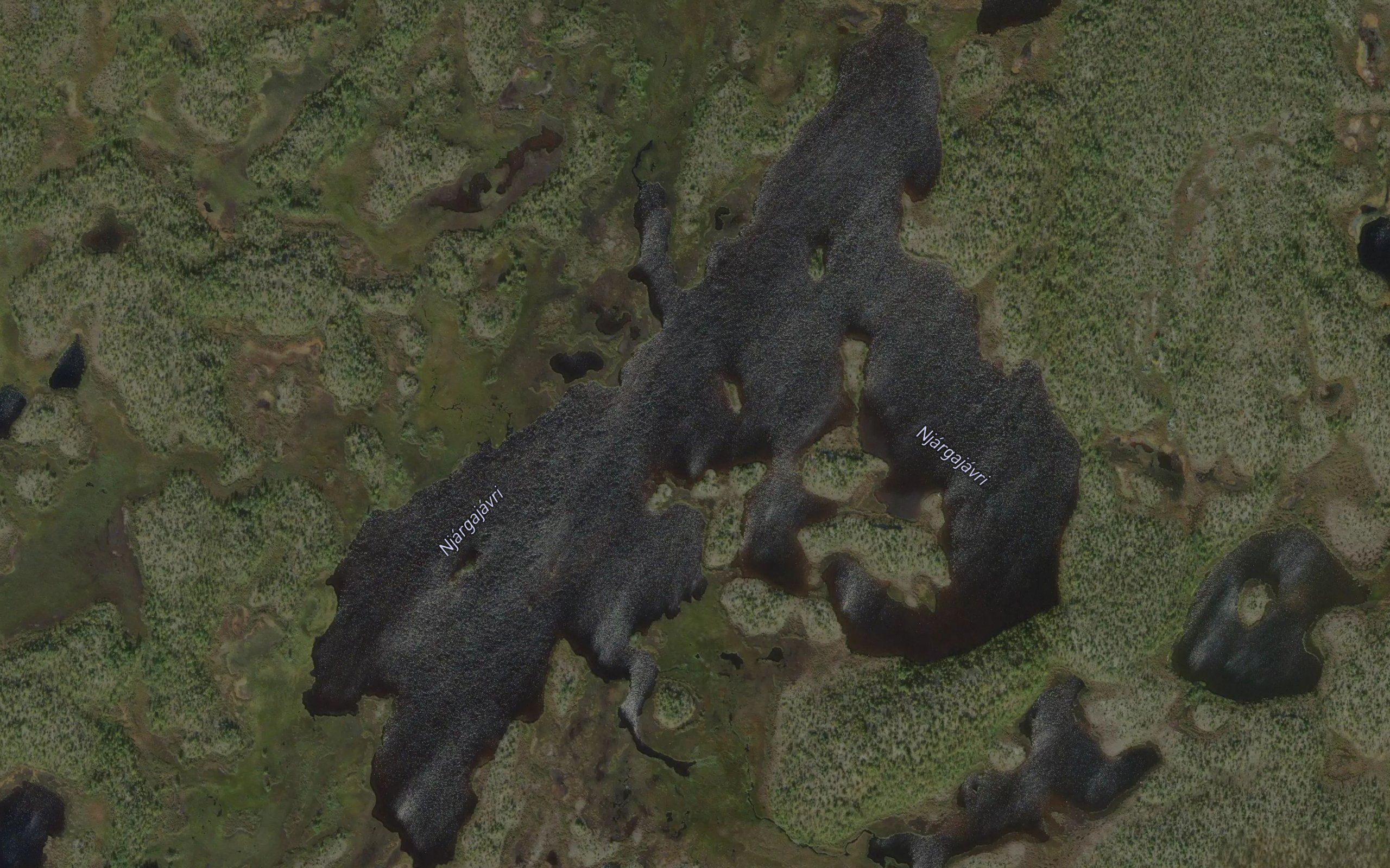Njargajavri