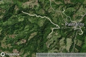 Arroyo Cano Amarillo