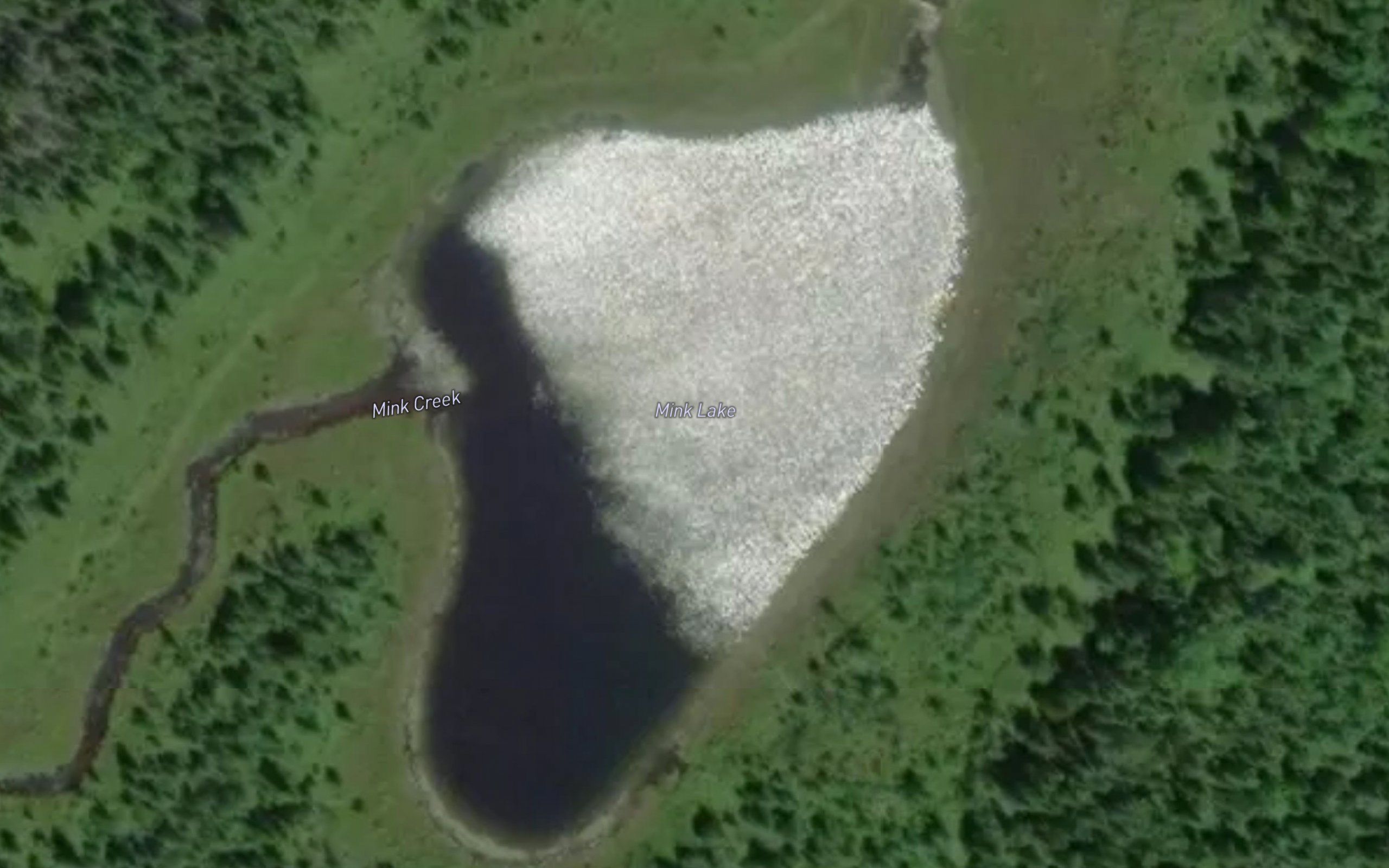 Mink Lake