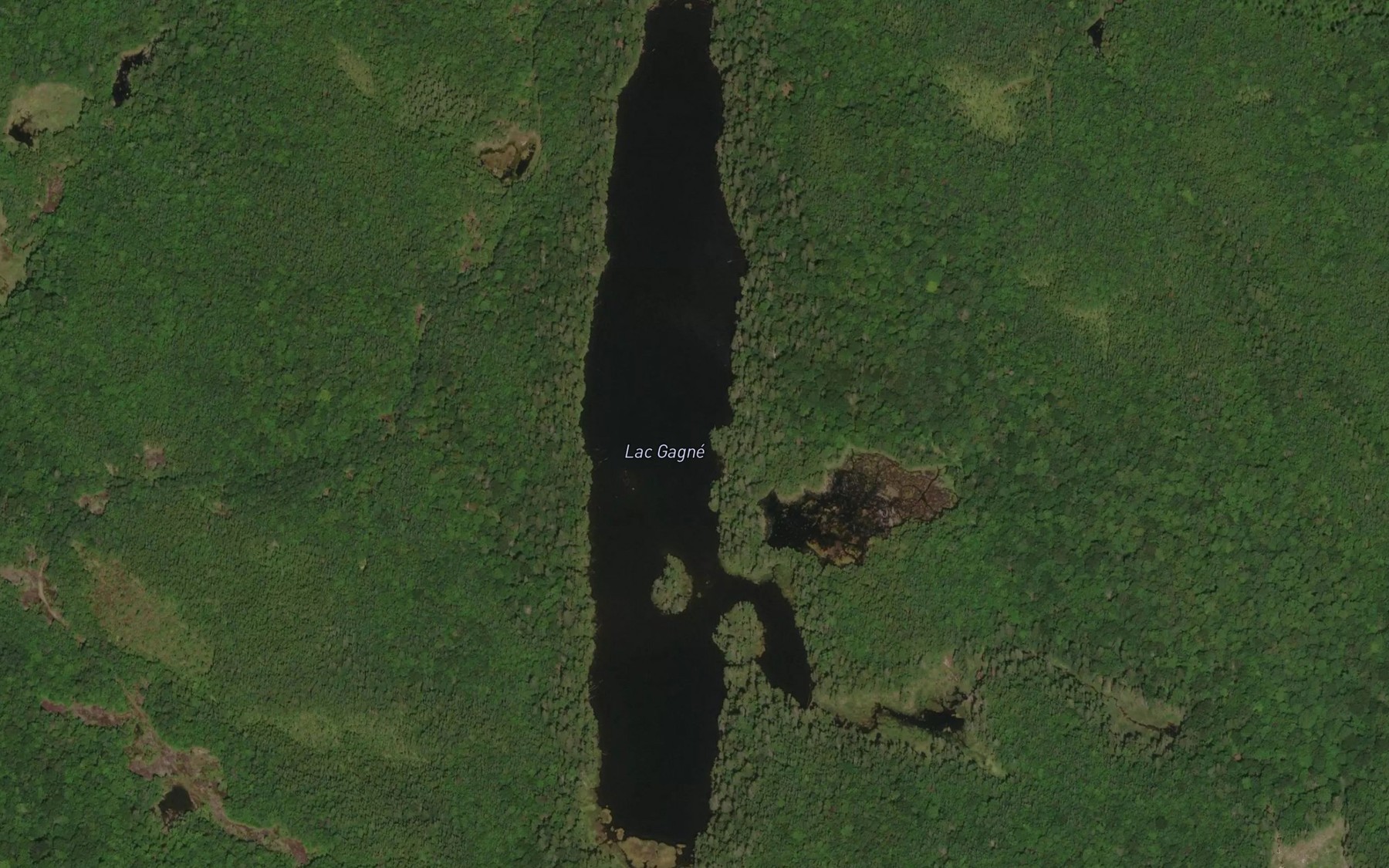Satellite map of the Lac Gagne