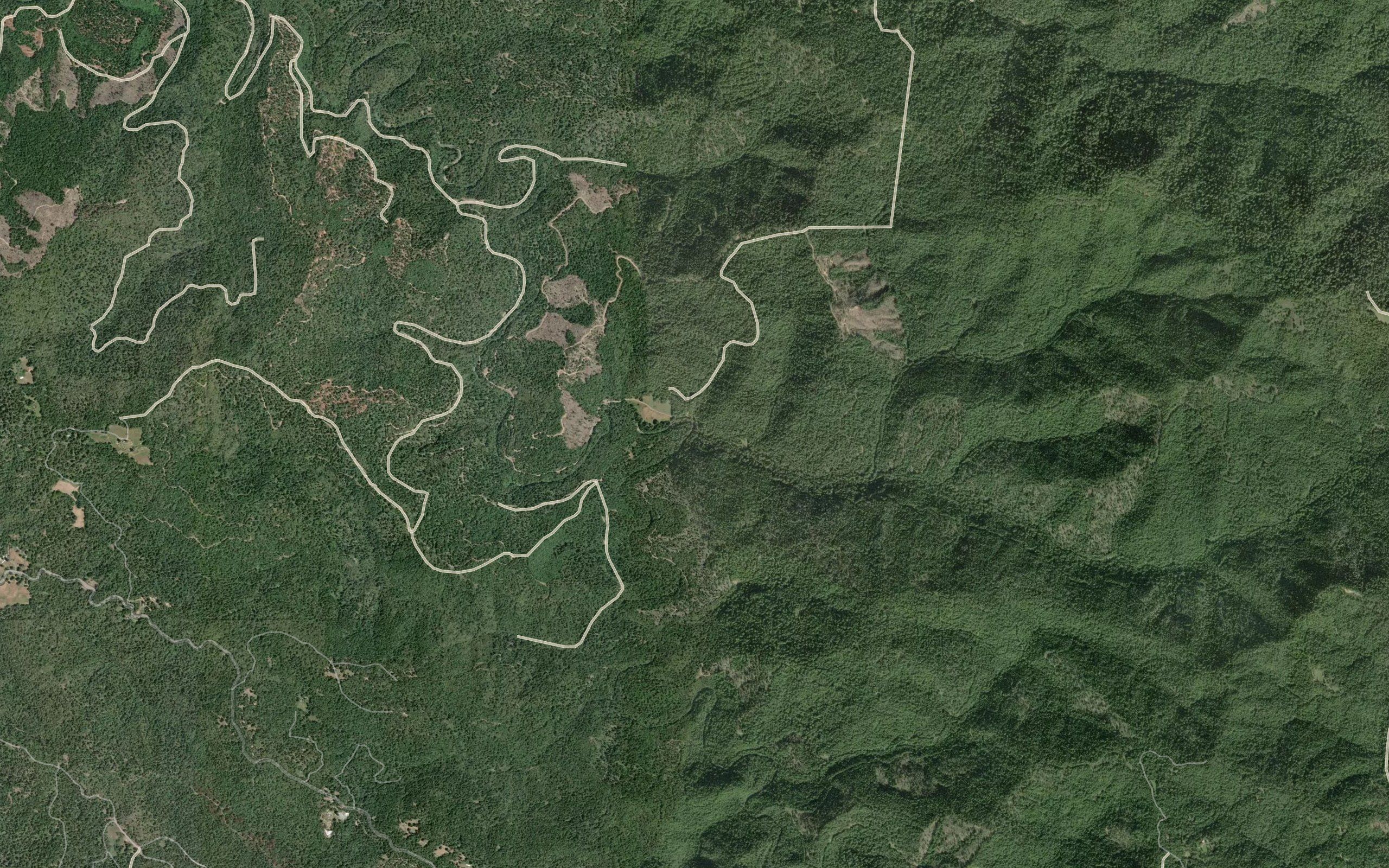 Ramon Creek