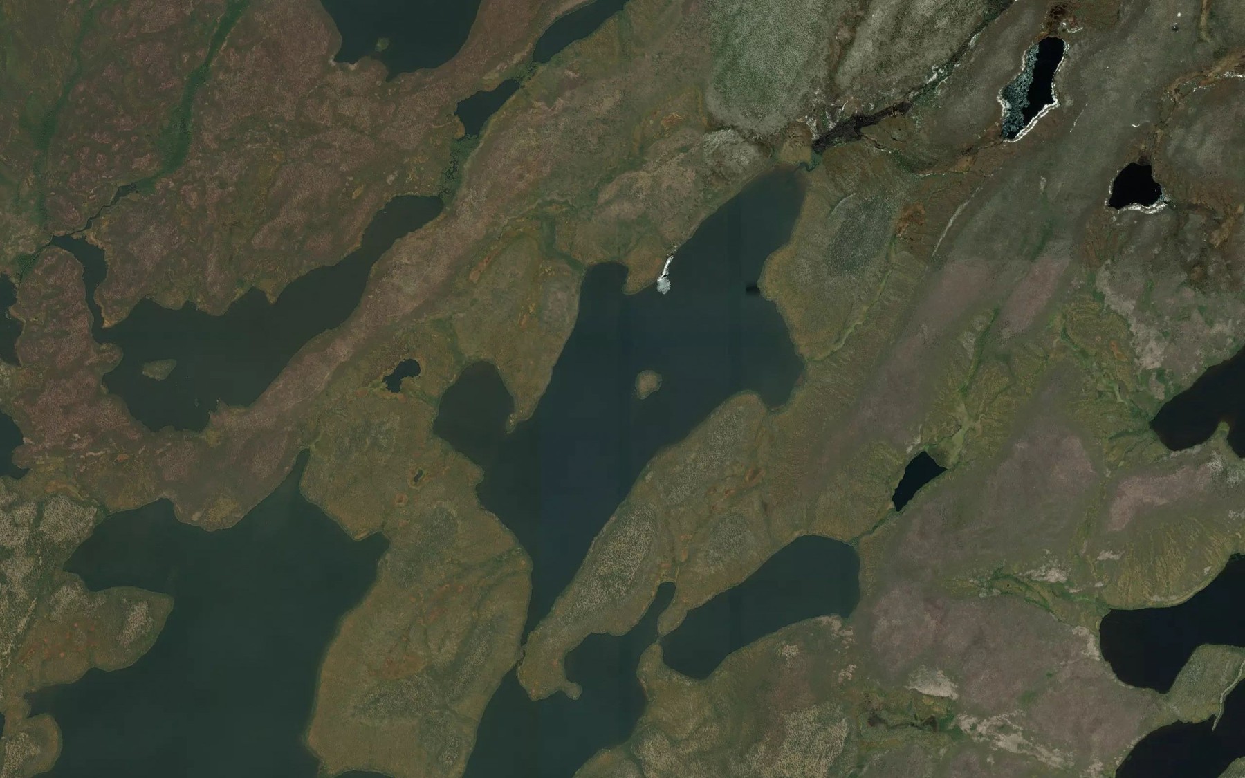 Satellite map of the Baumann Lake