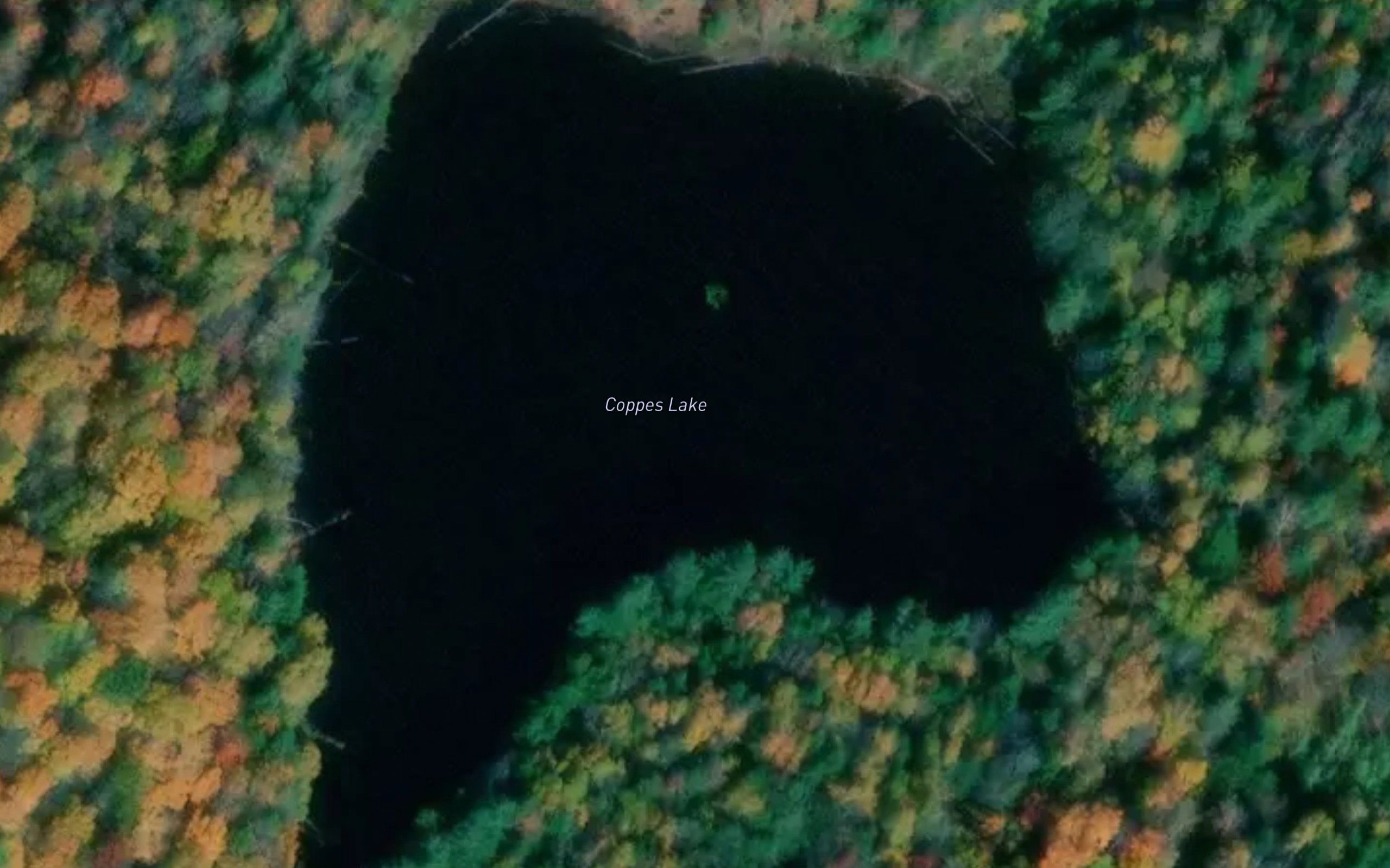 Coppes Lake