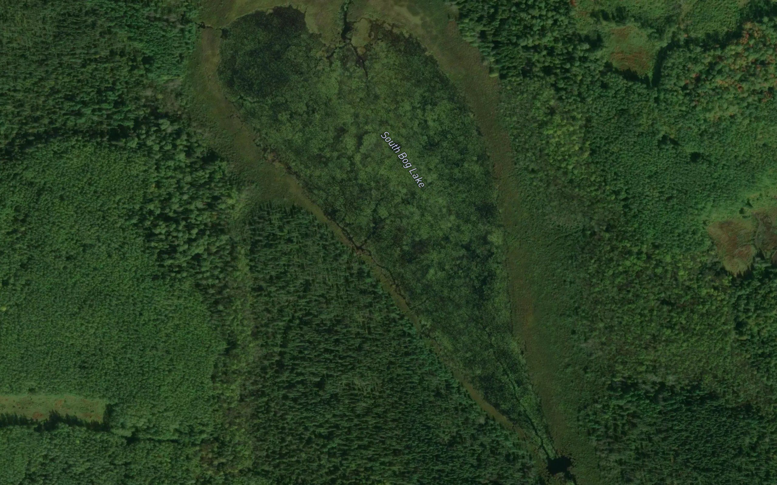 South Bog Lake