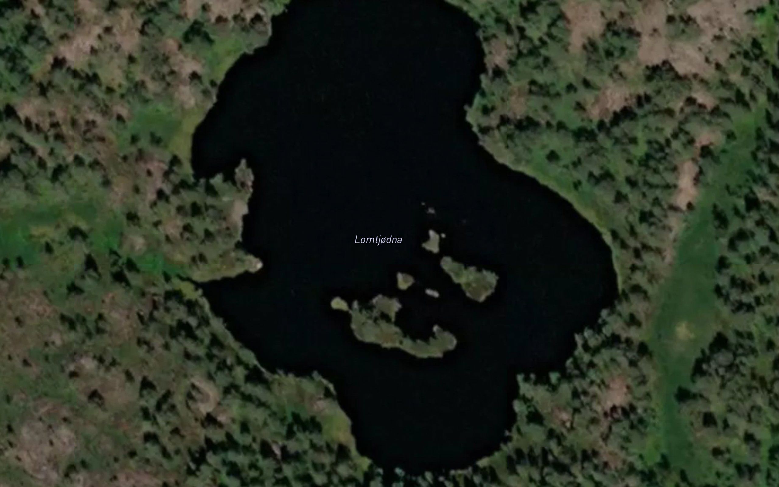 Lomtjorni