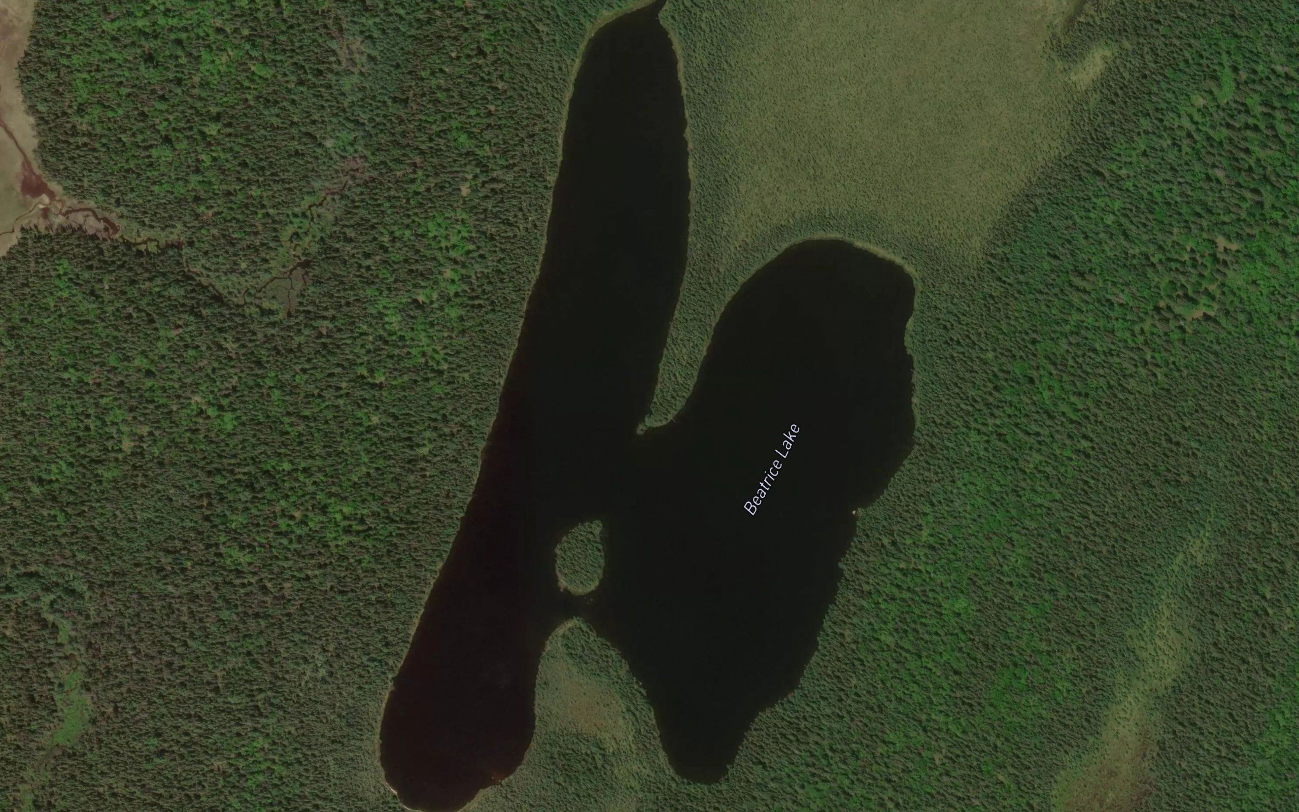 Beatrice Lake