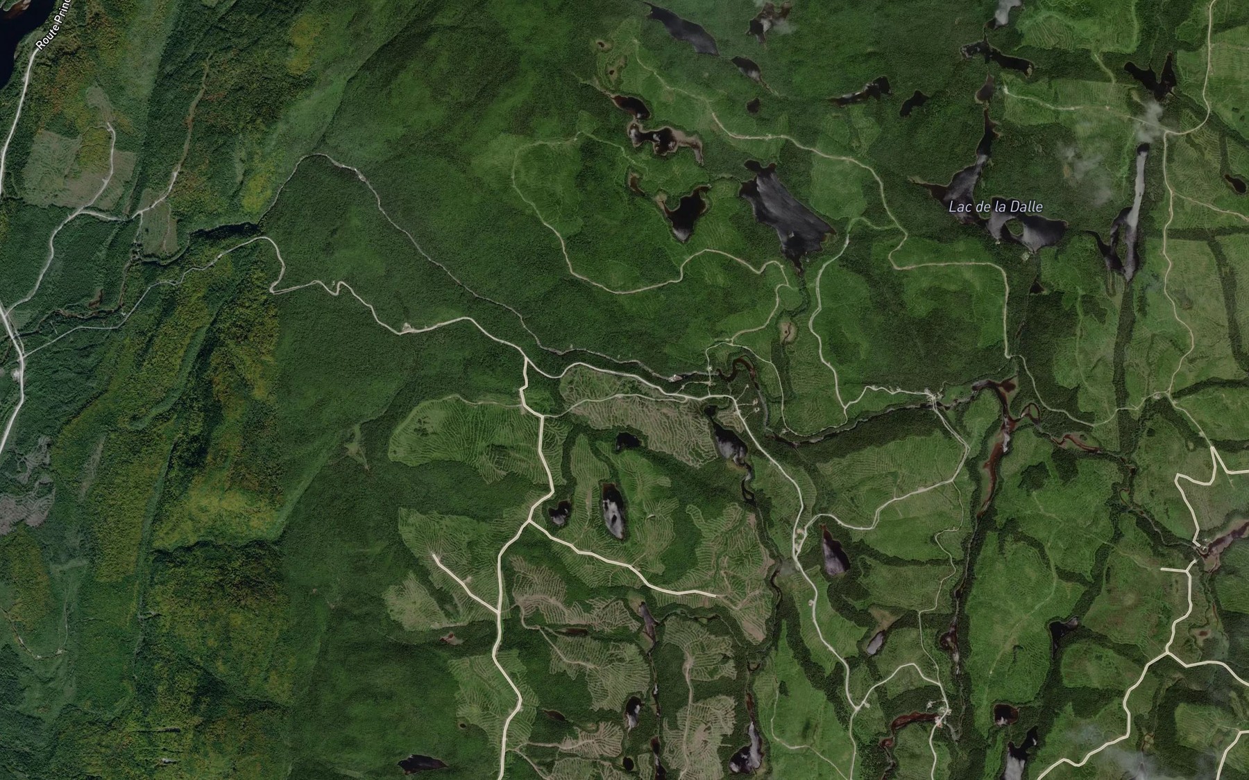 Satellite map of the Lac du Branchu