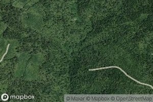 Catsup Creek