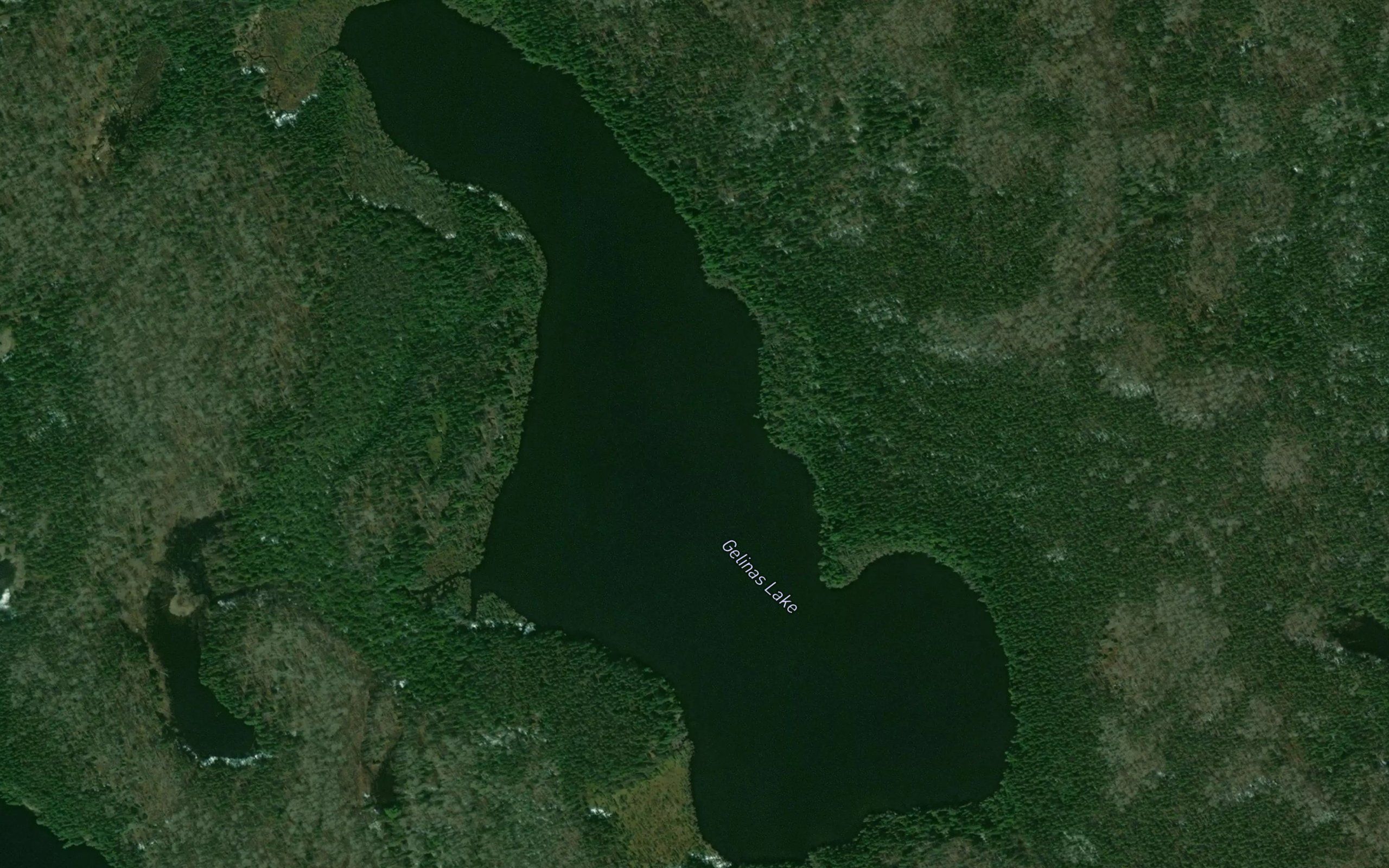 Gelinas Lake