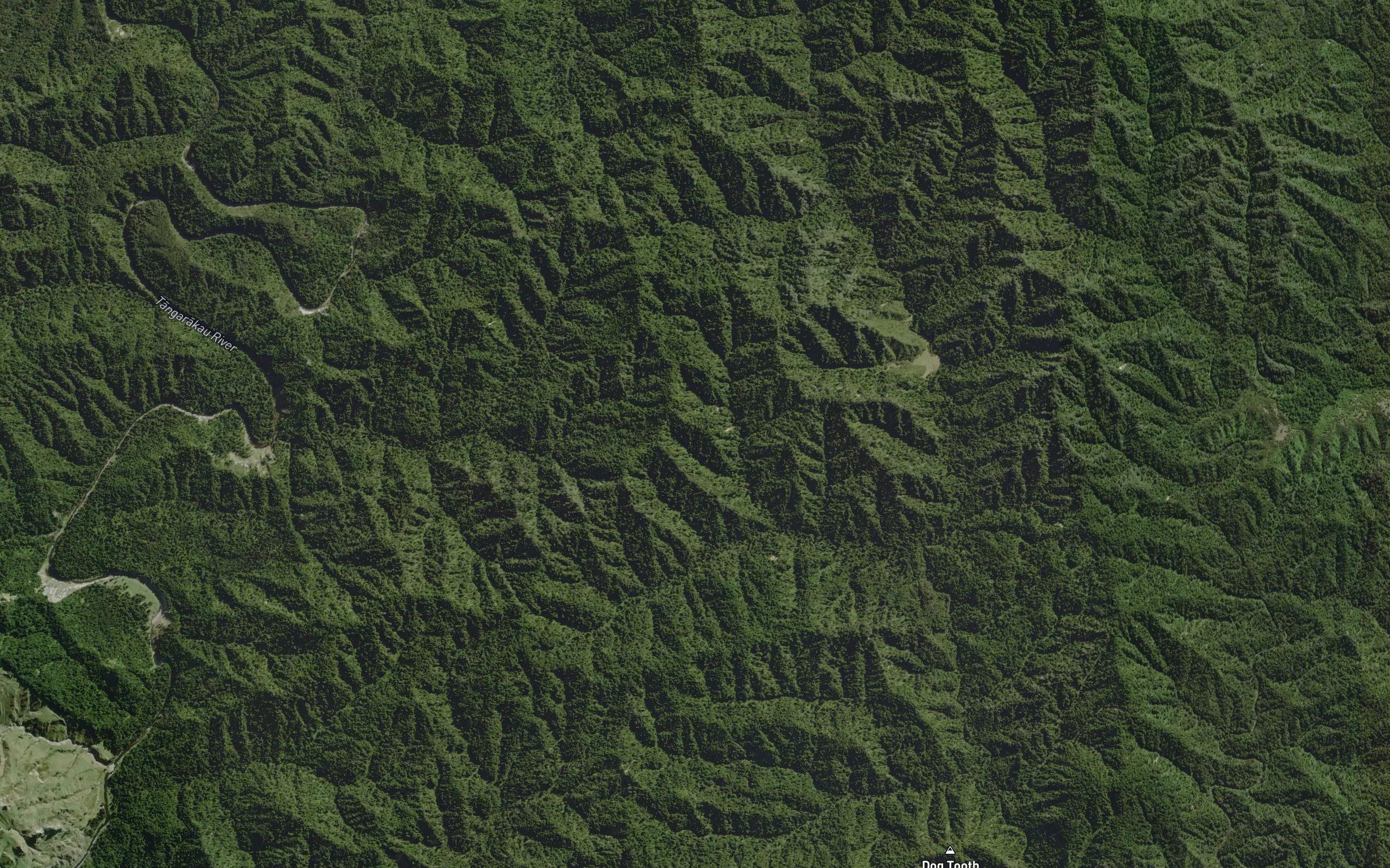 Tinopai Stream