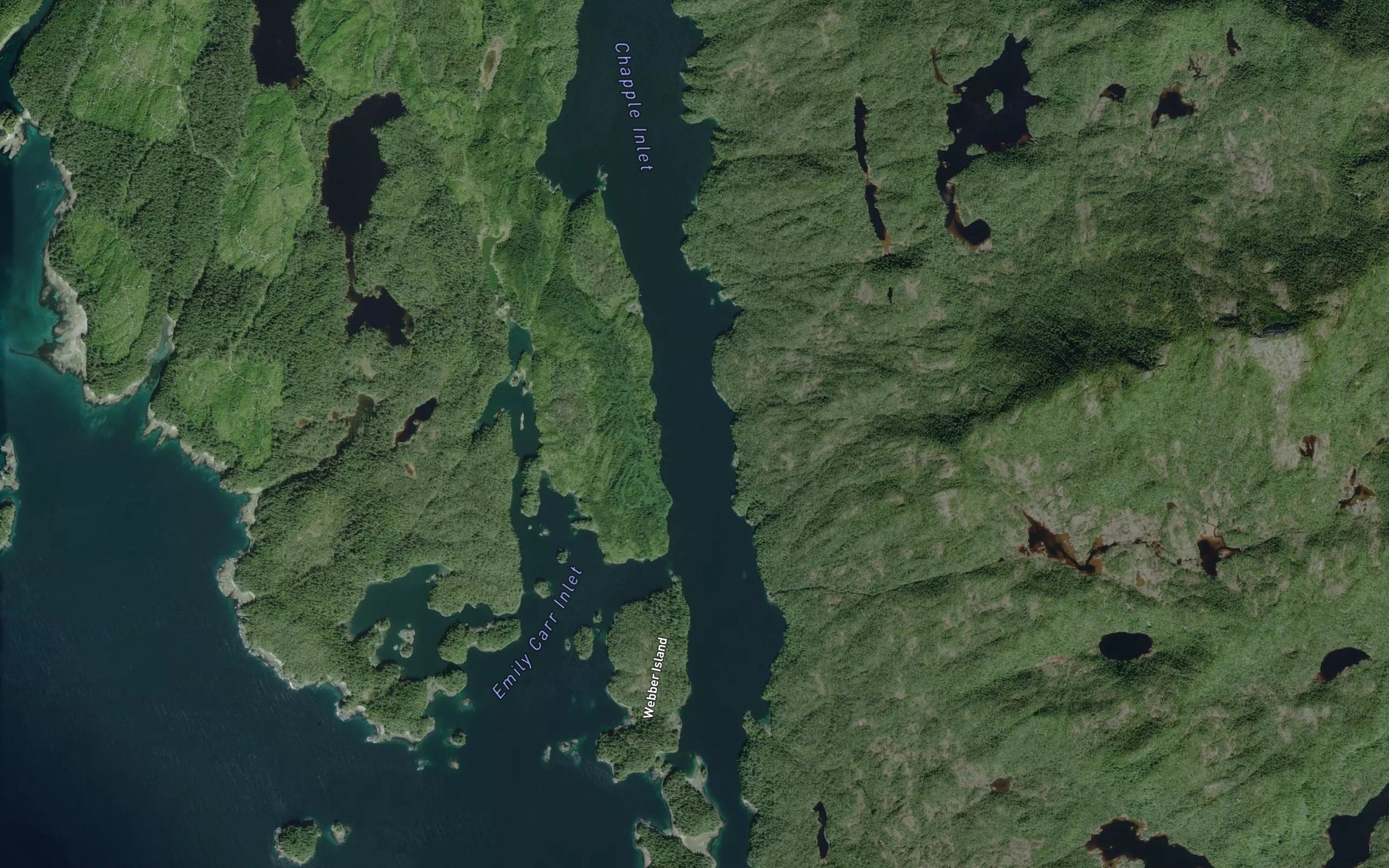 Satellite map of the Chapple Inlet