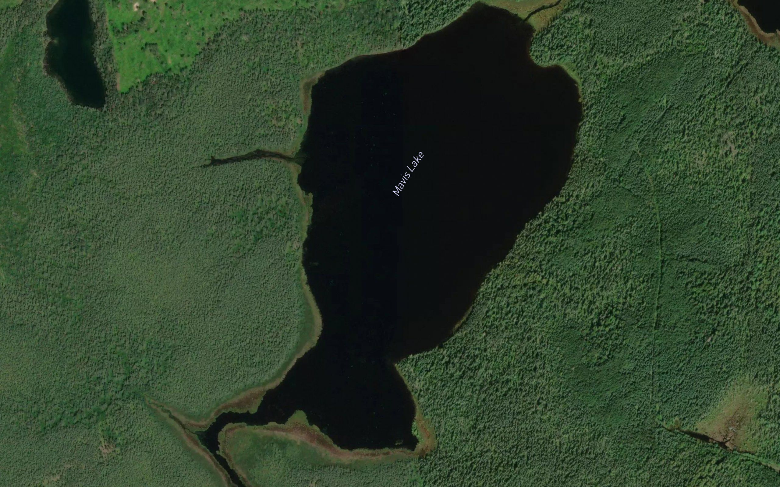 Mavis Lake