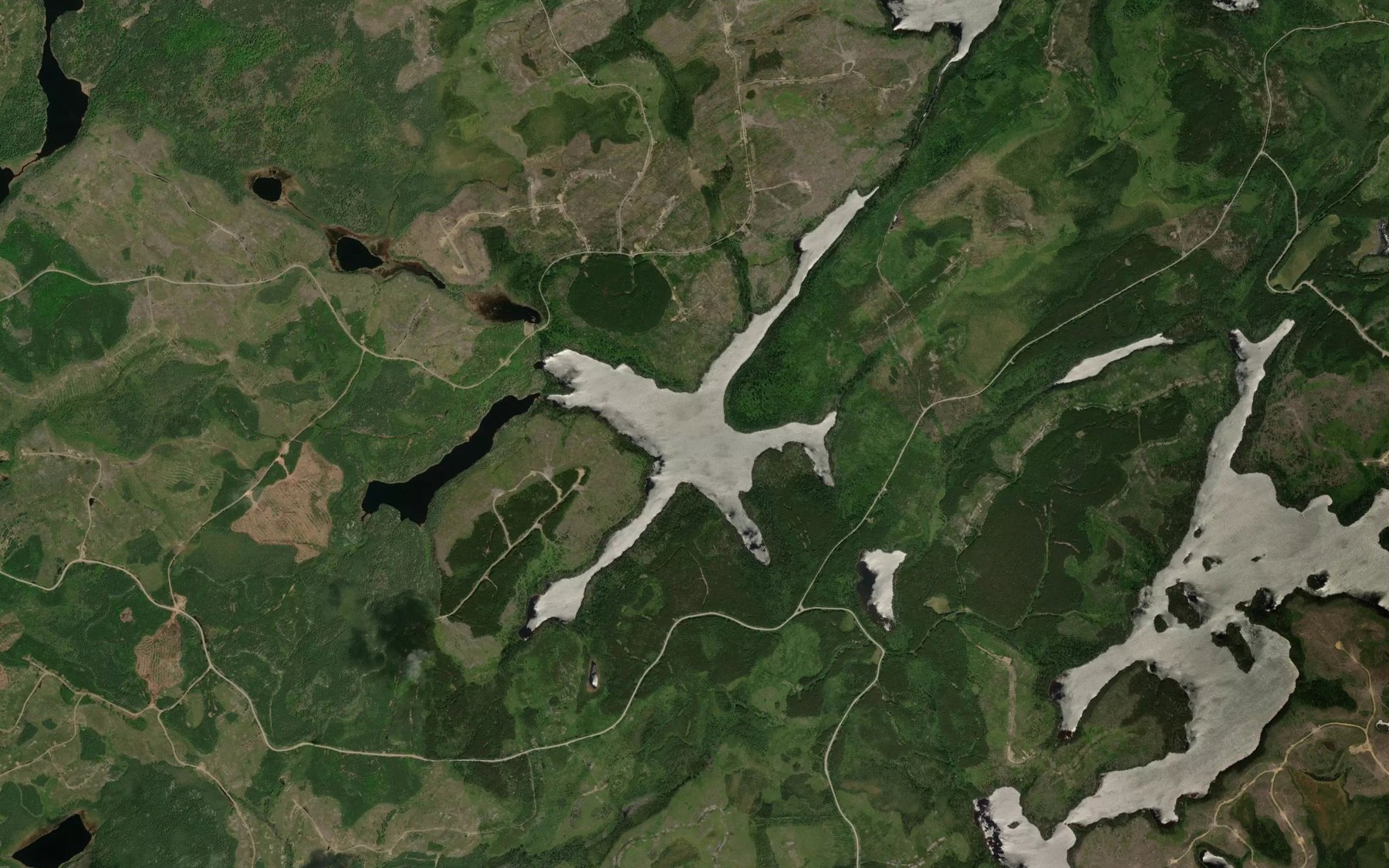 Satellite map of the Race Lake