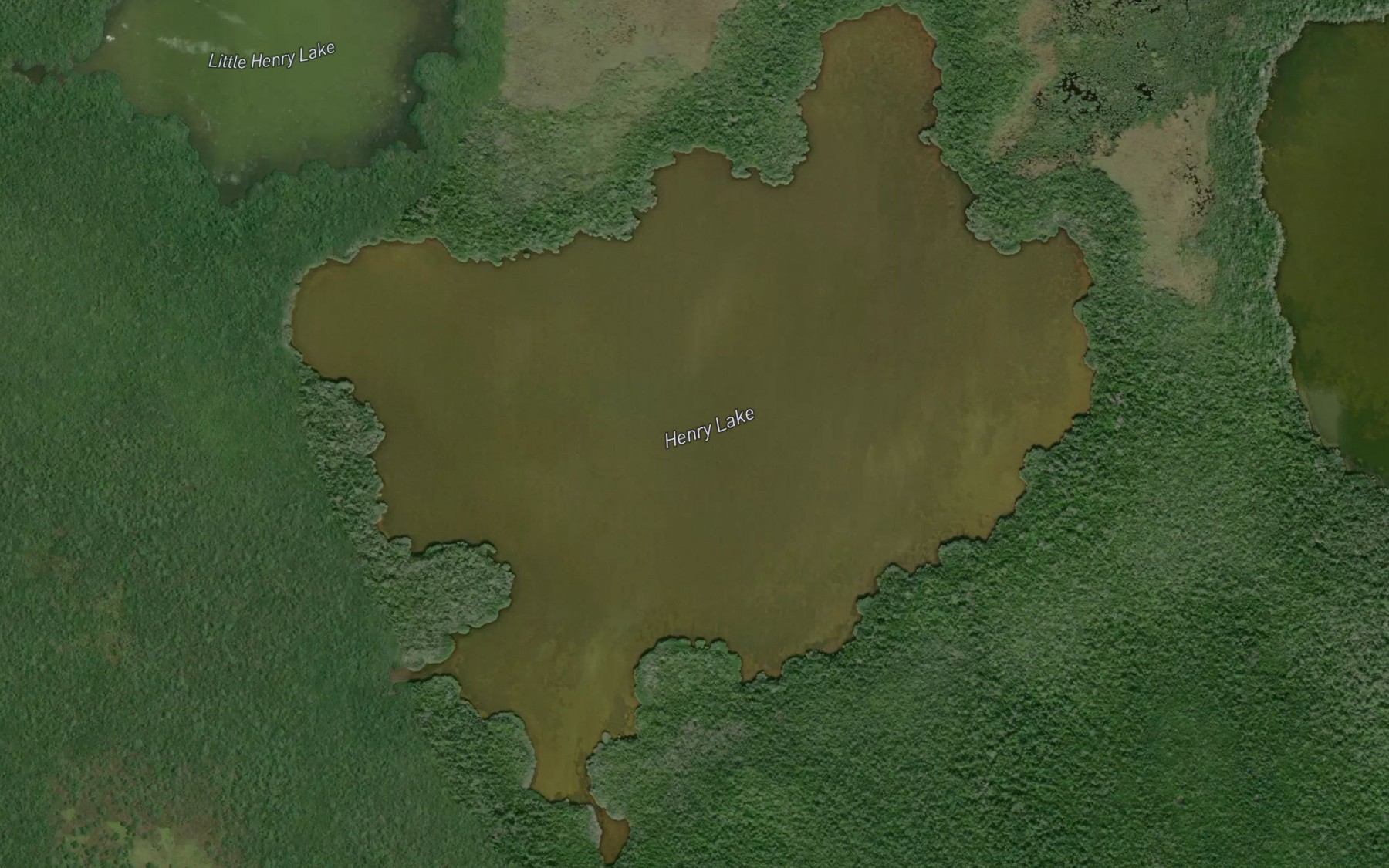 Satellite map of the Henry Lake