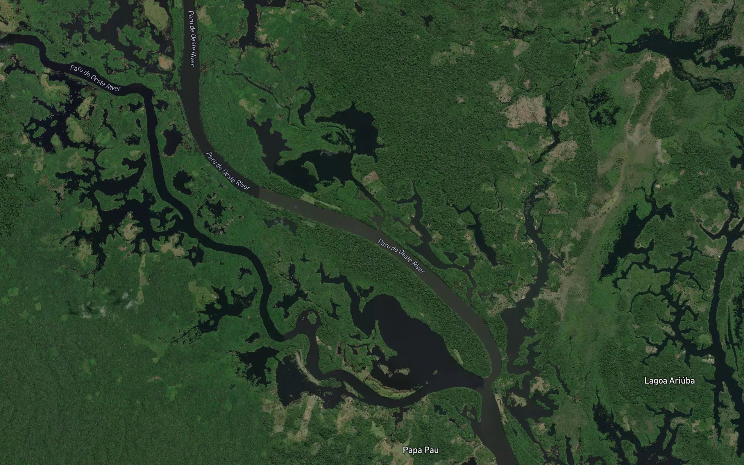 Parana Jacuraru