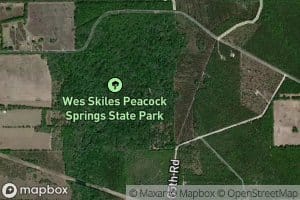 Peacock Springs