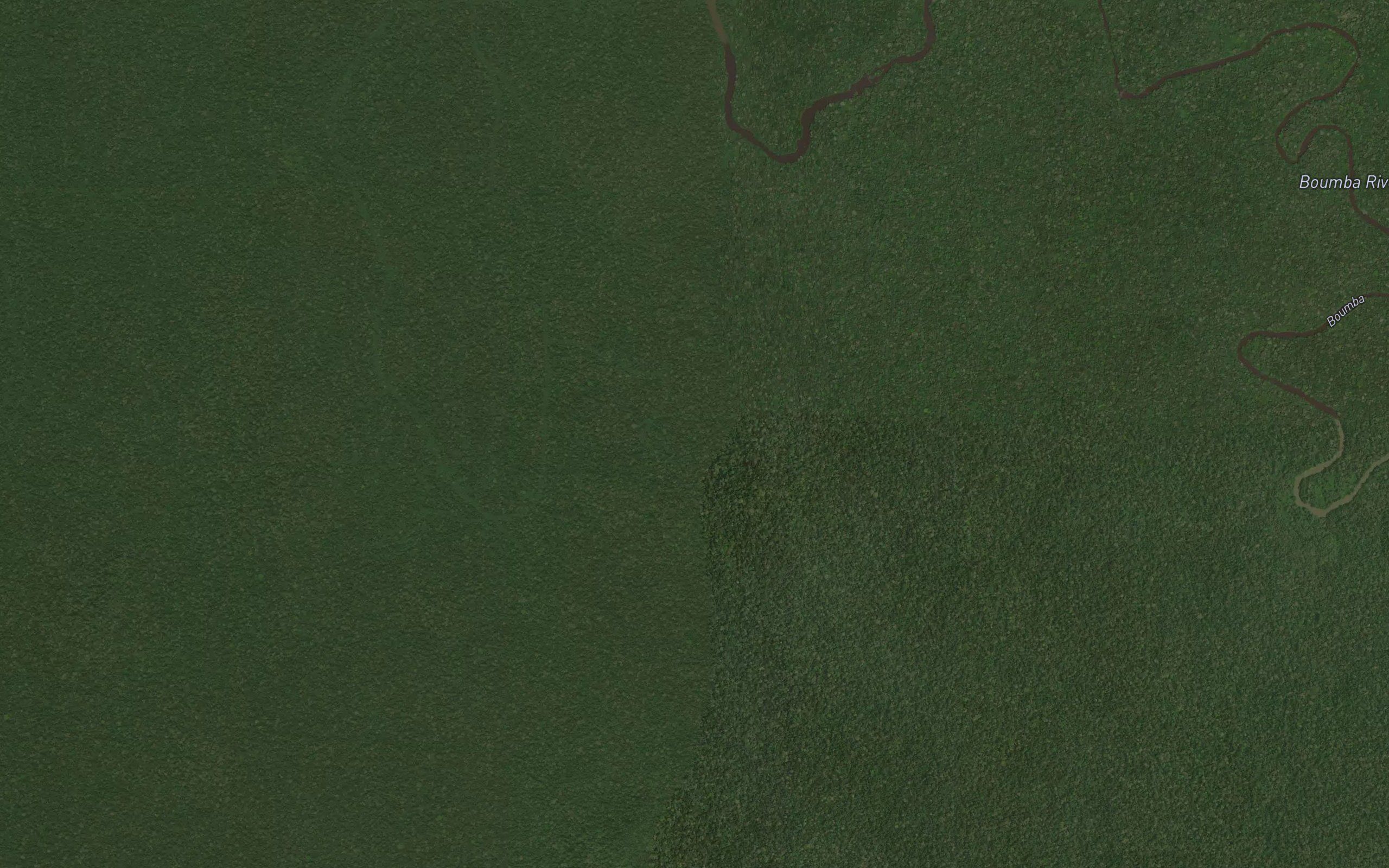 Bitan