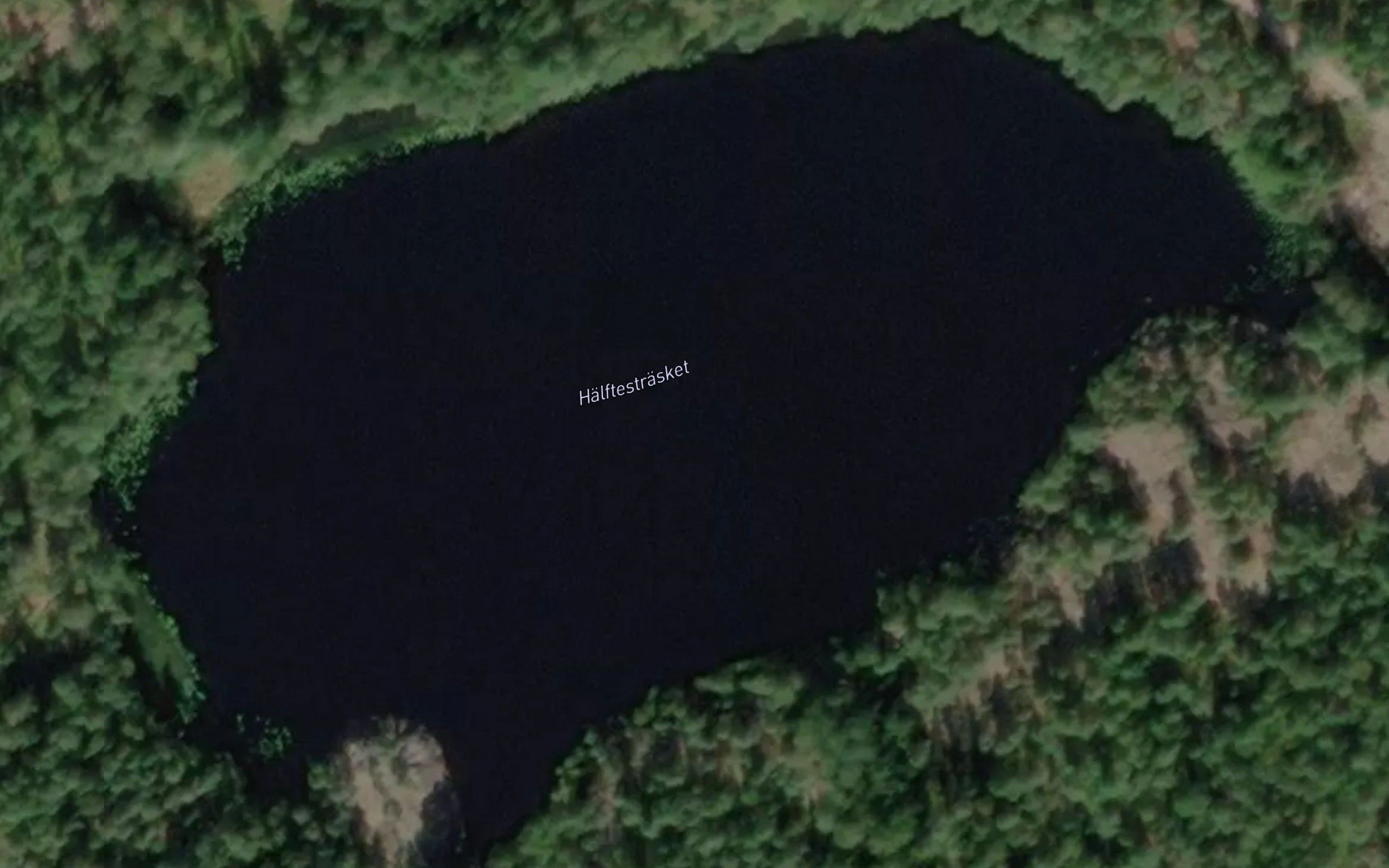 Halftestrasket
