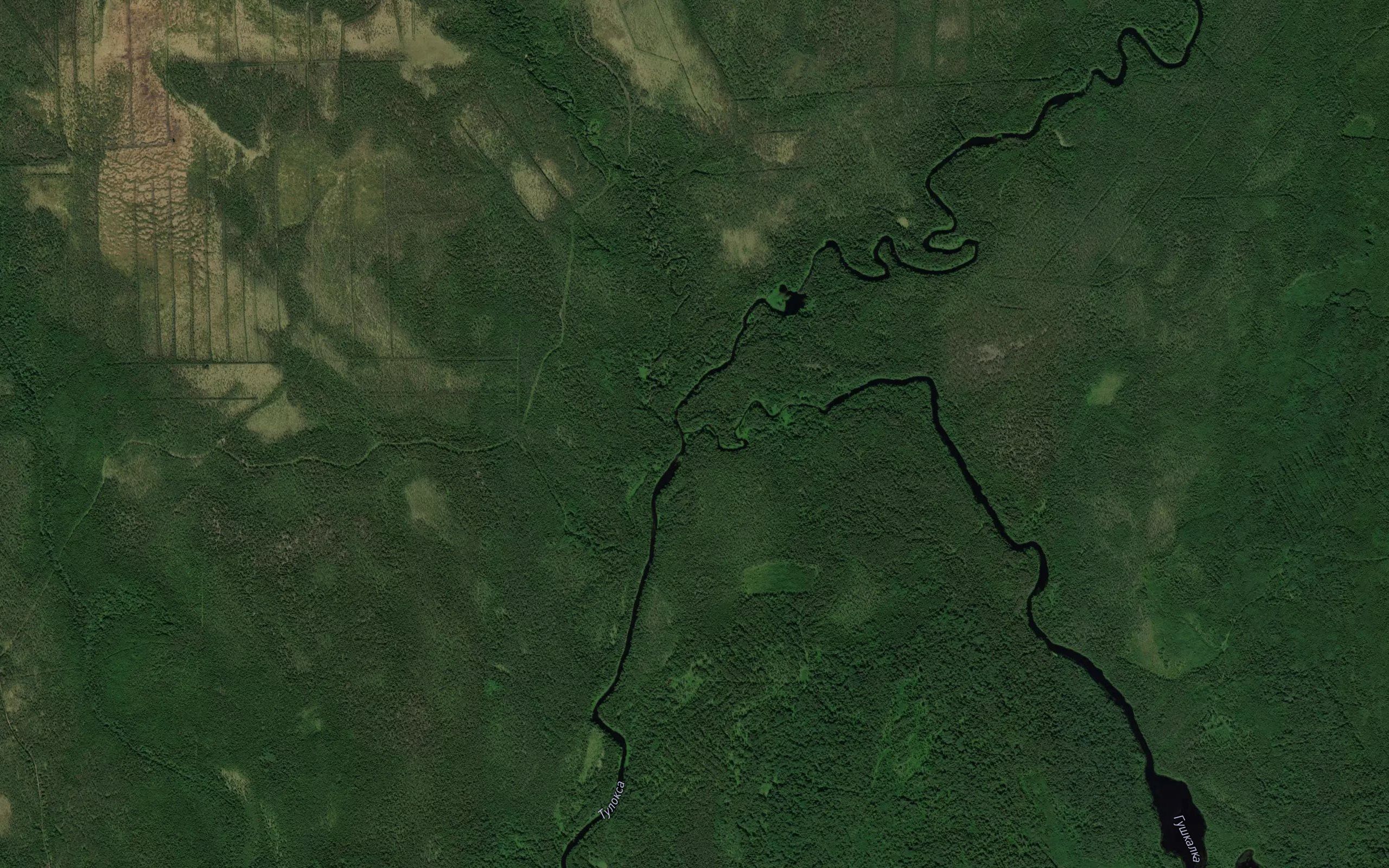 Gushkalka