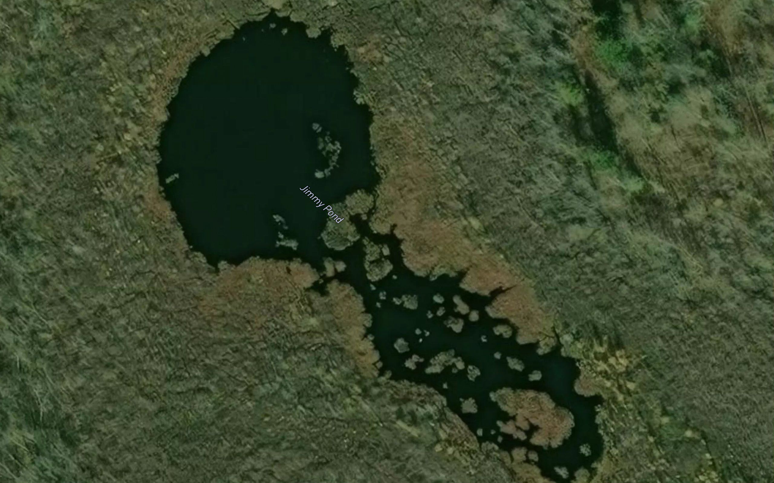 Jimmy Pond