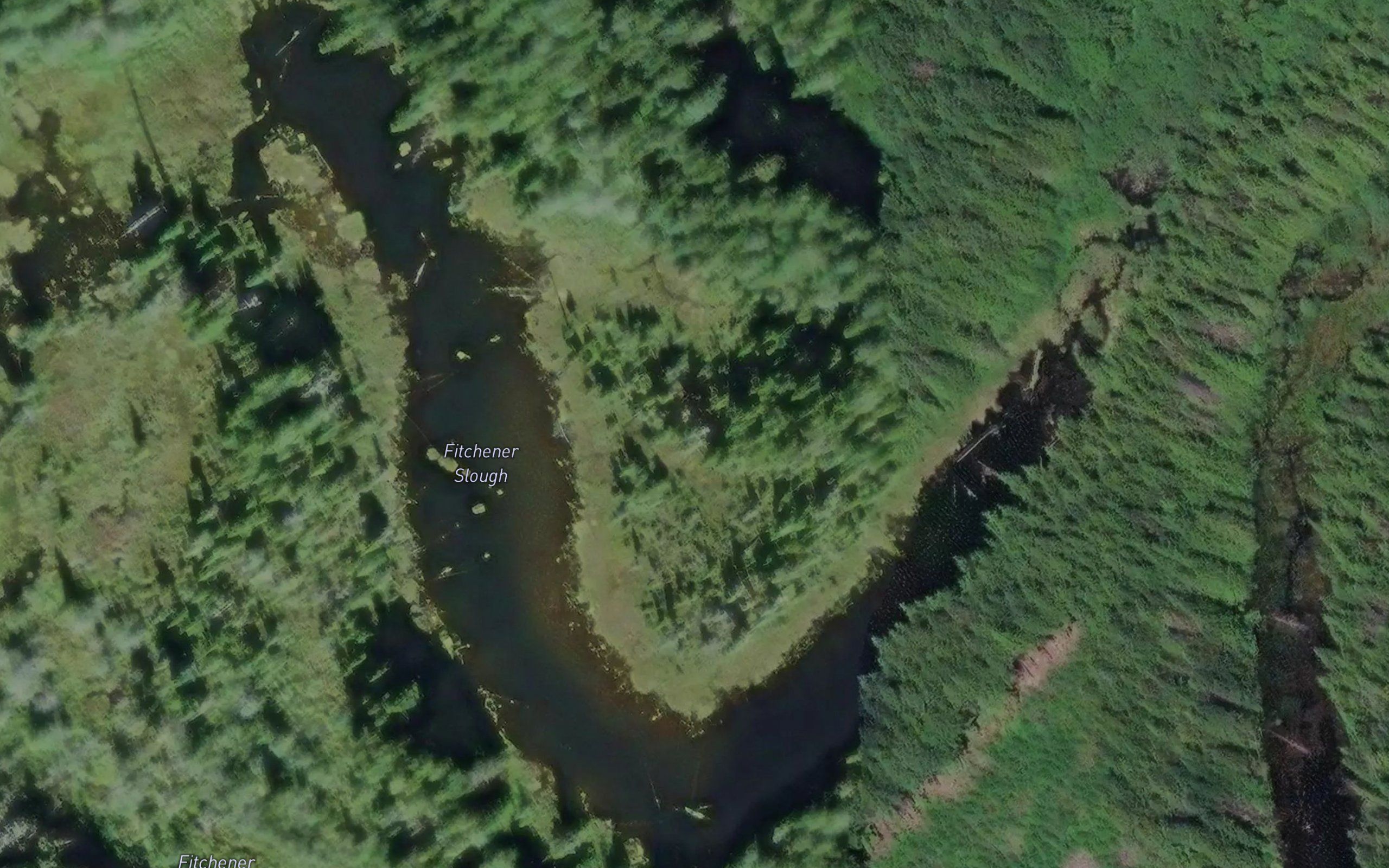 Fitchener Slough