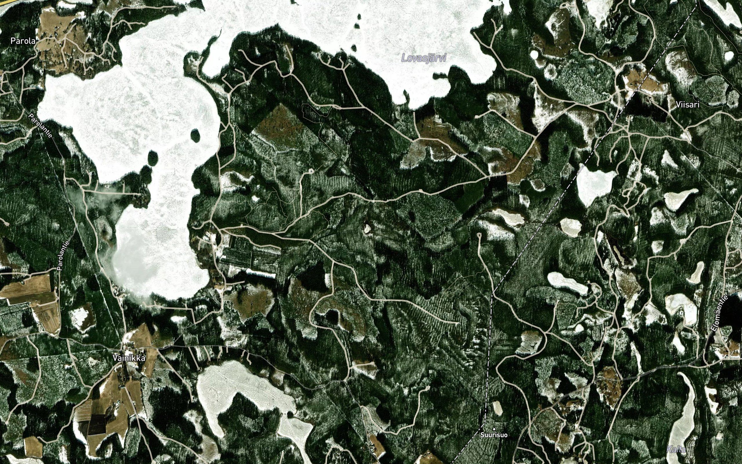 Juurikonoja