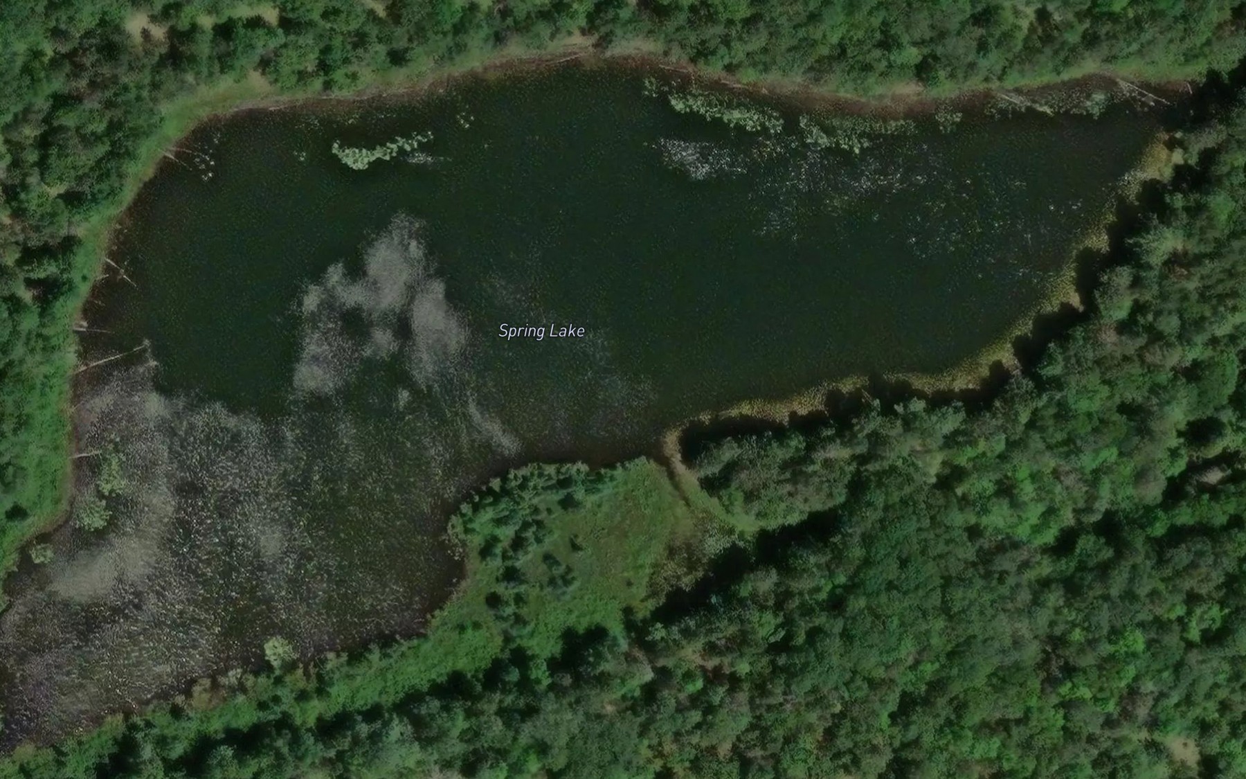Satellite map of the Spring Lake