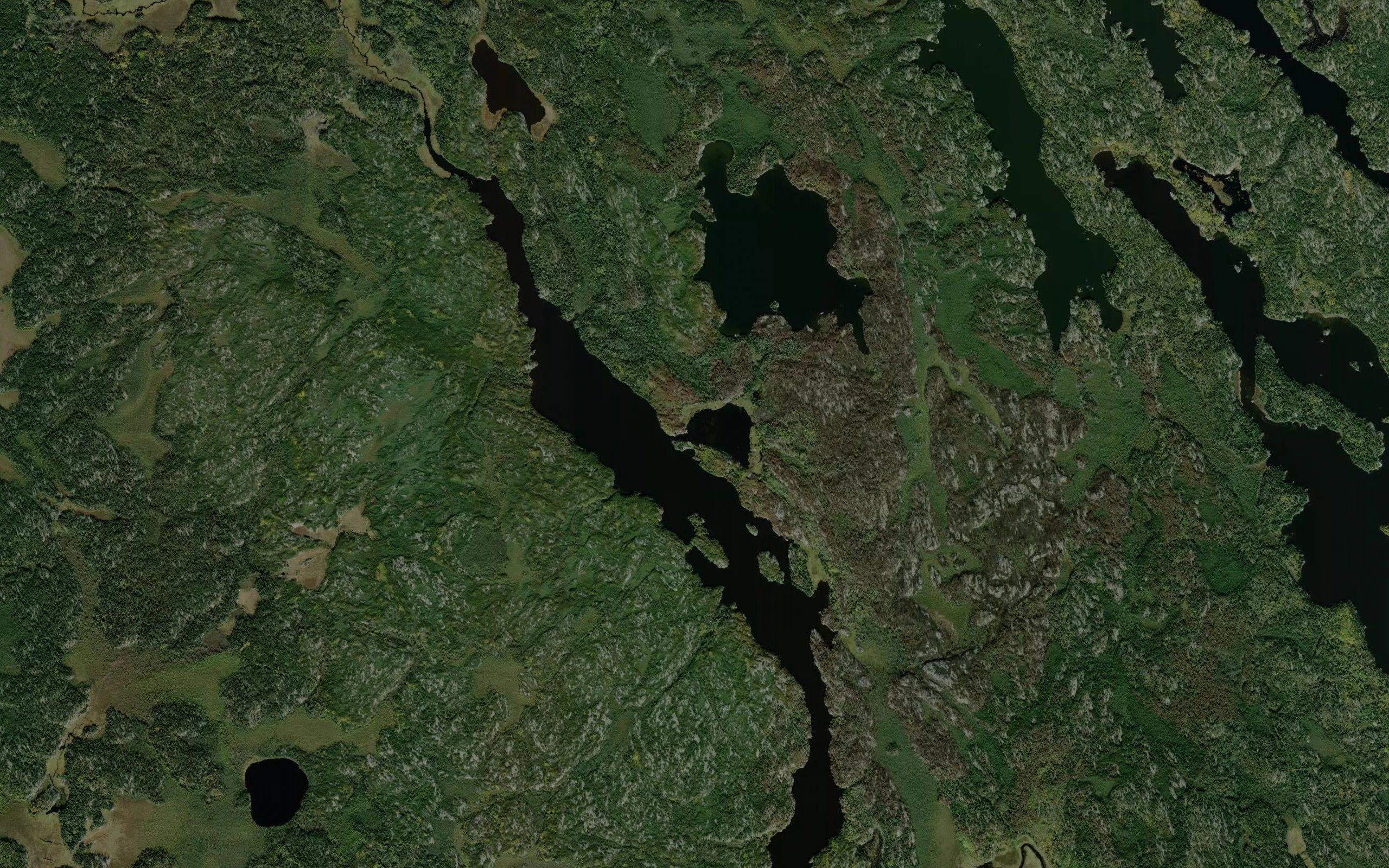 Three Mile Lake