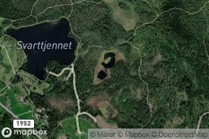 Smatjerna