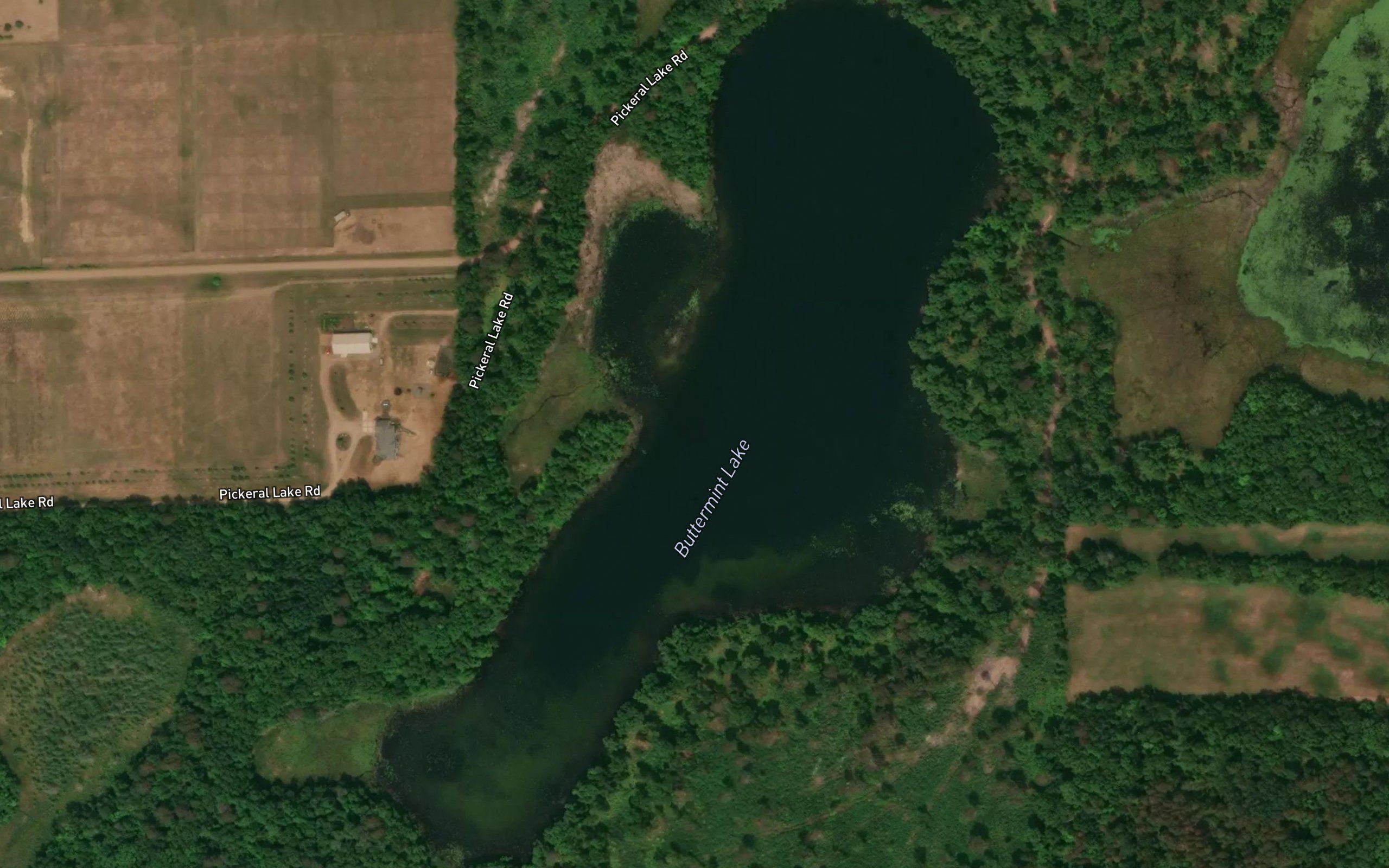 Buttermint Lake
