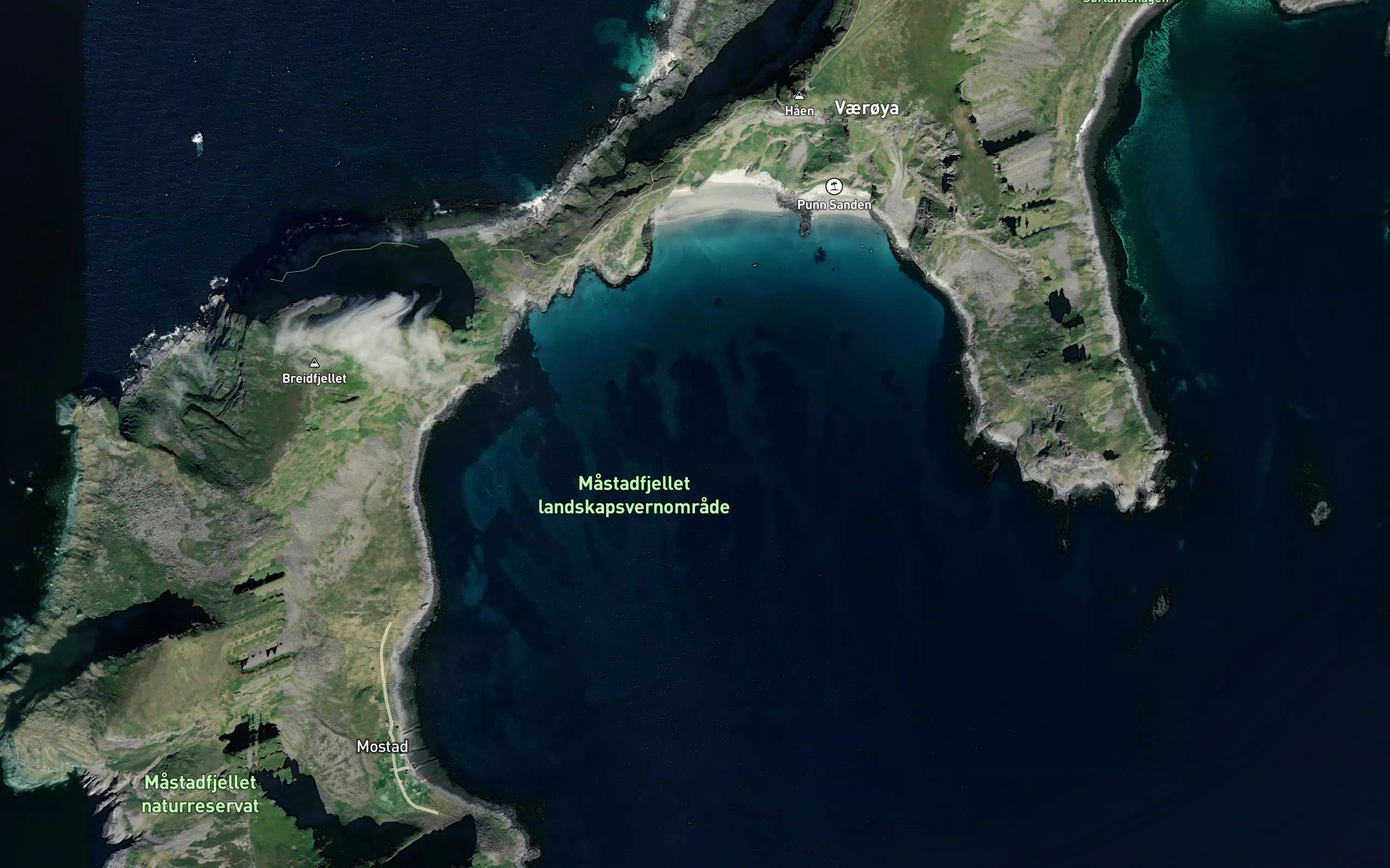 Mastadvika