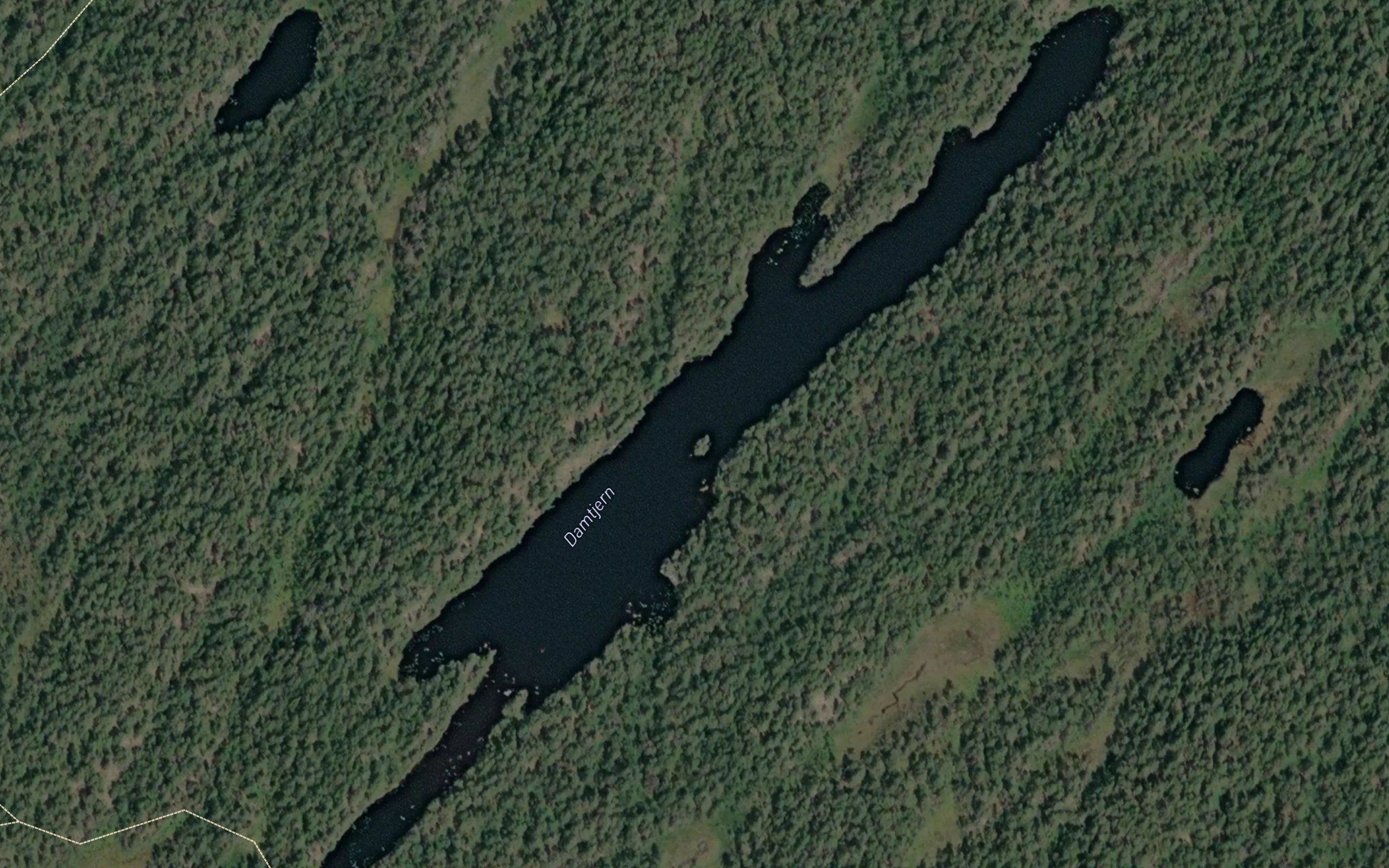 Damtjern