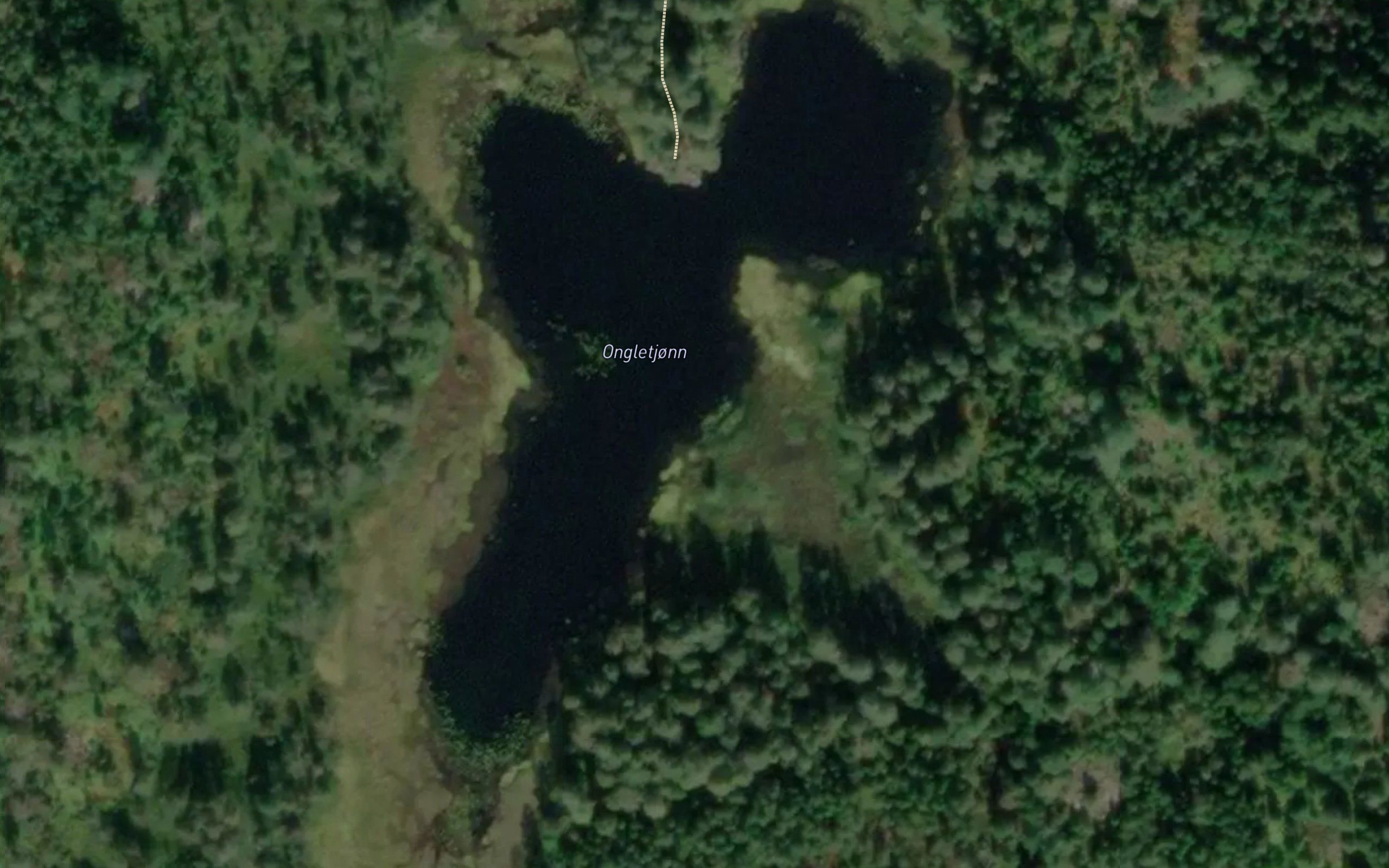 Ongletjonn