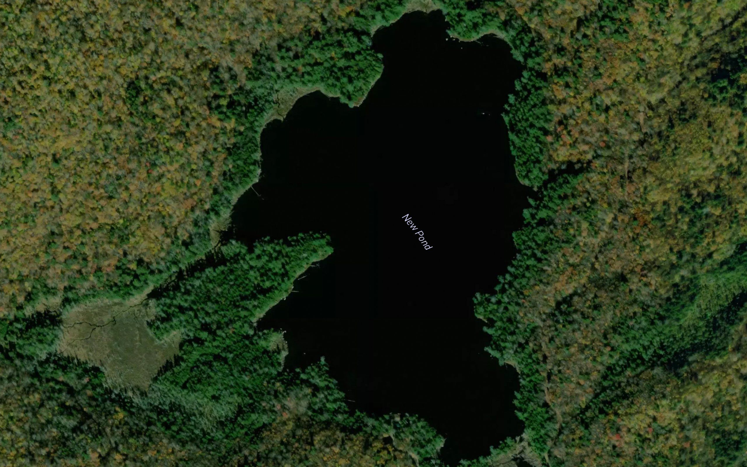 New Pond