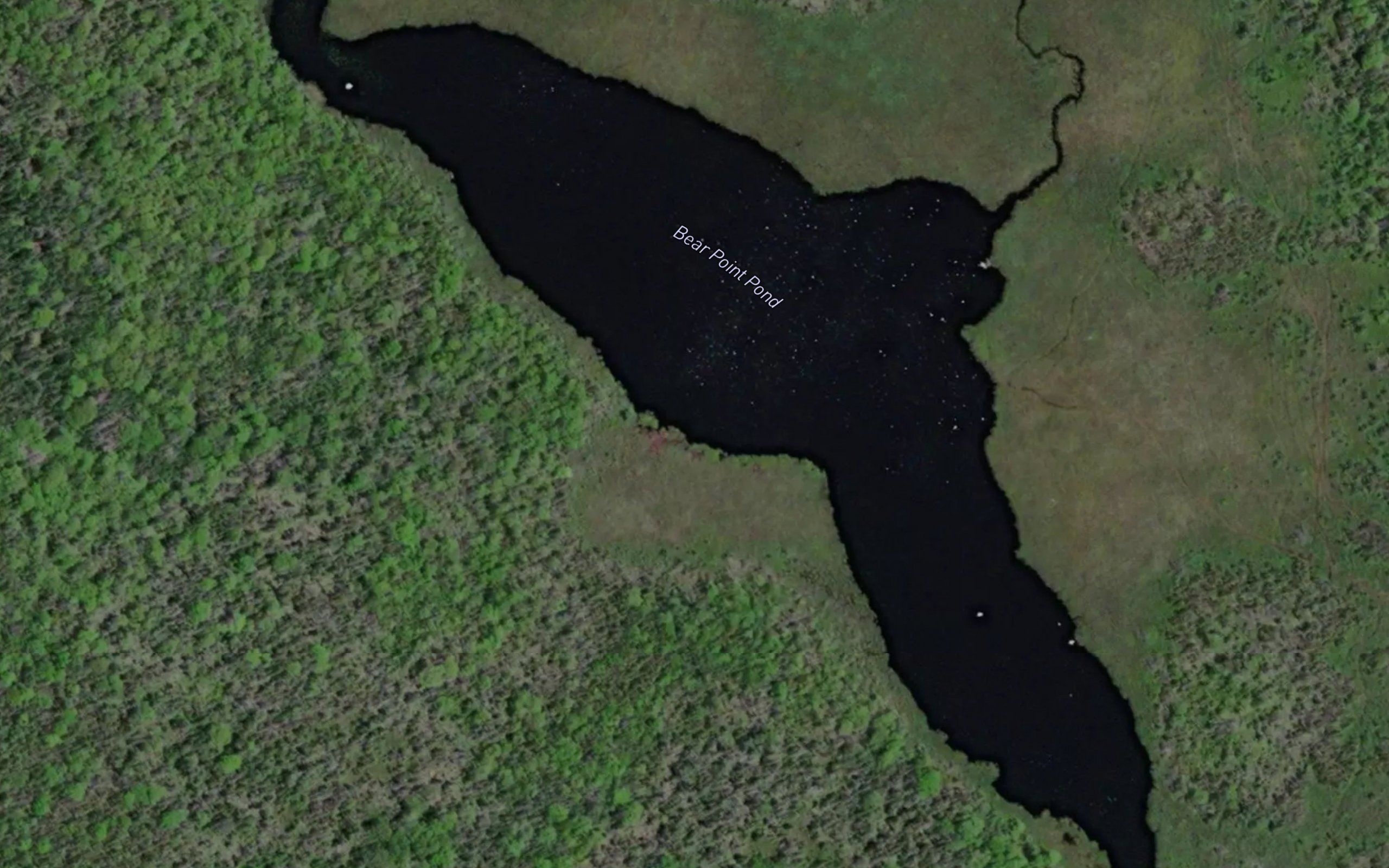 Bear Point Pond