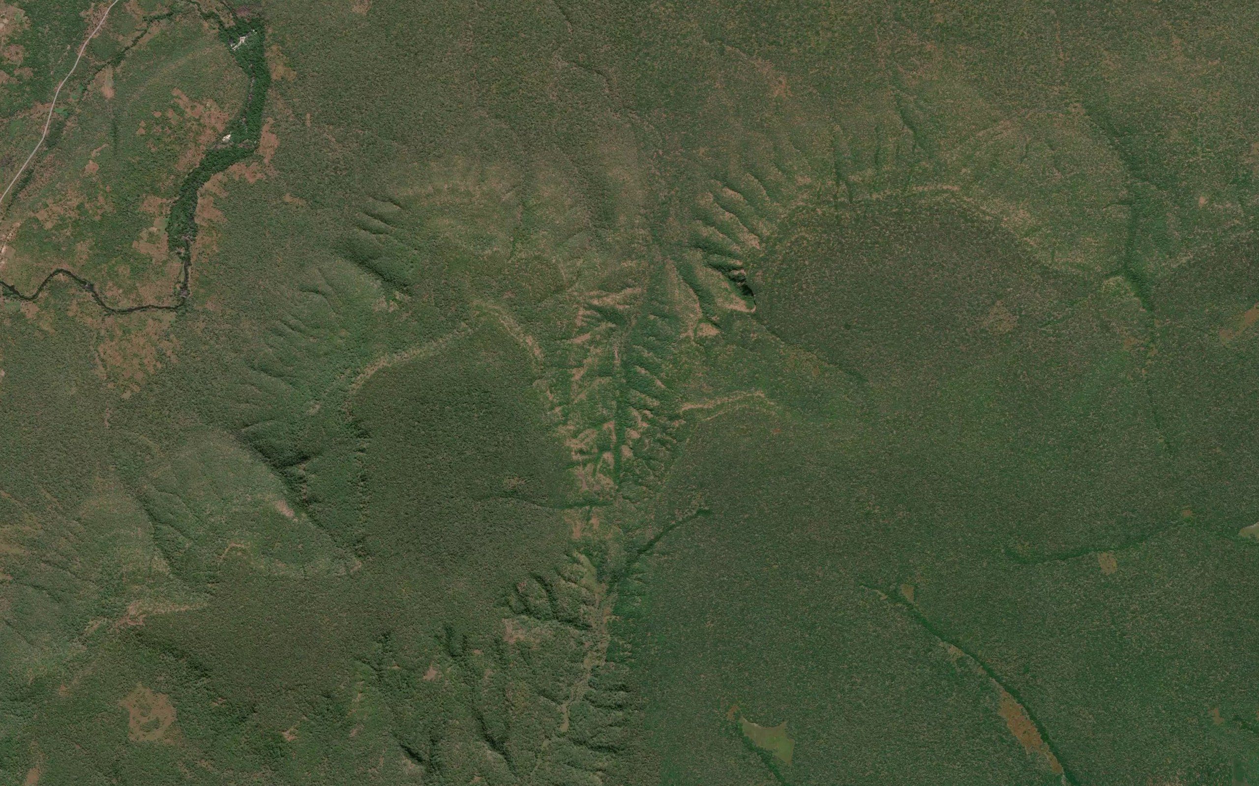 Kimahuya