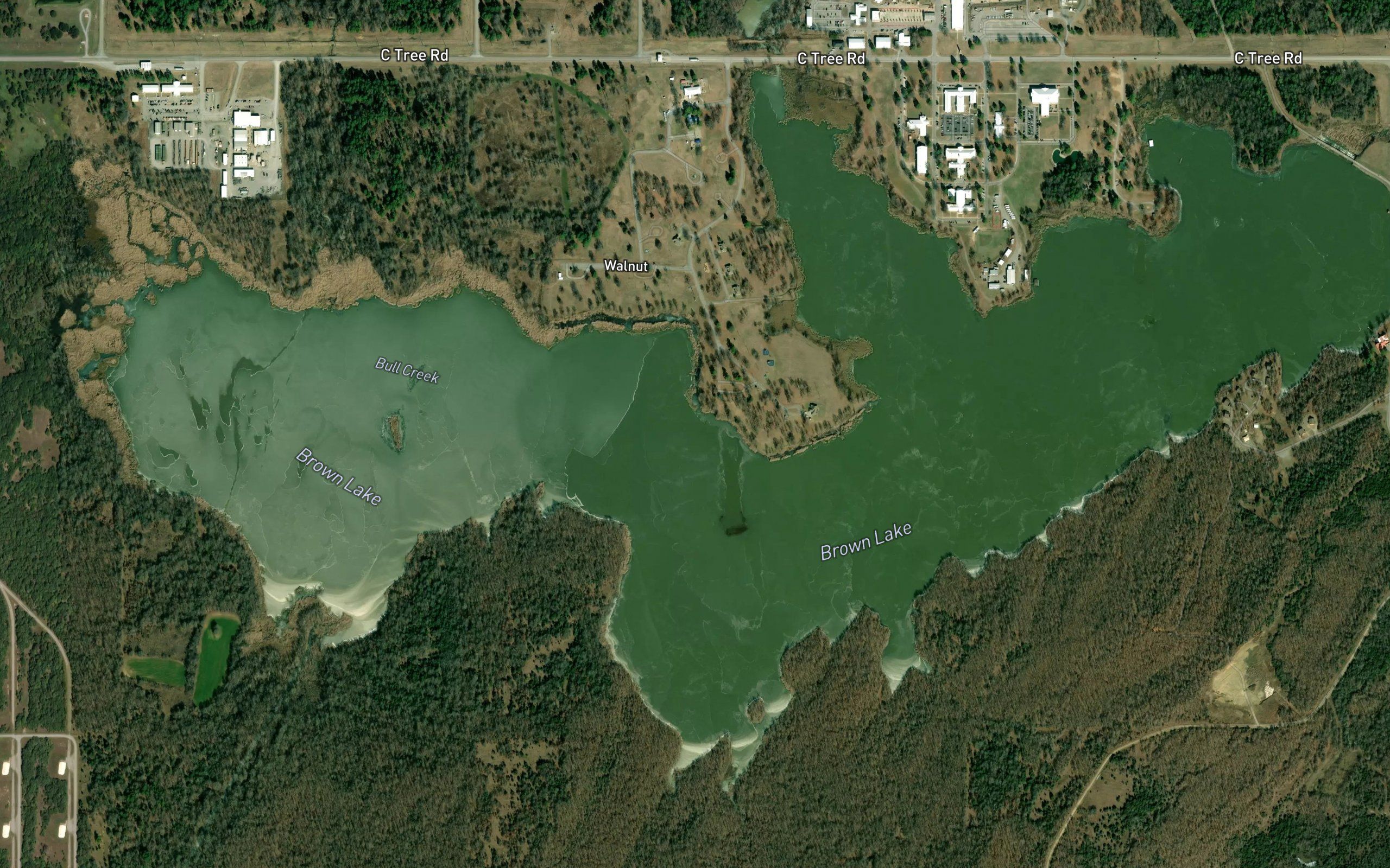 Brown Lake