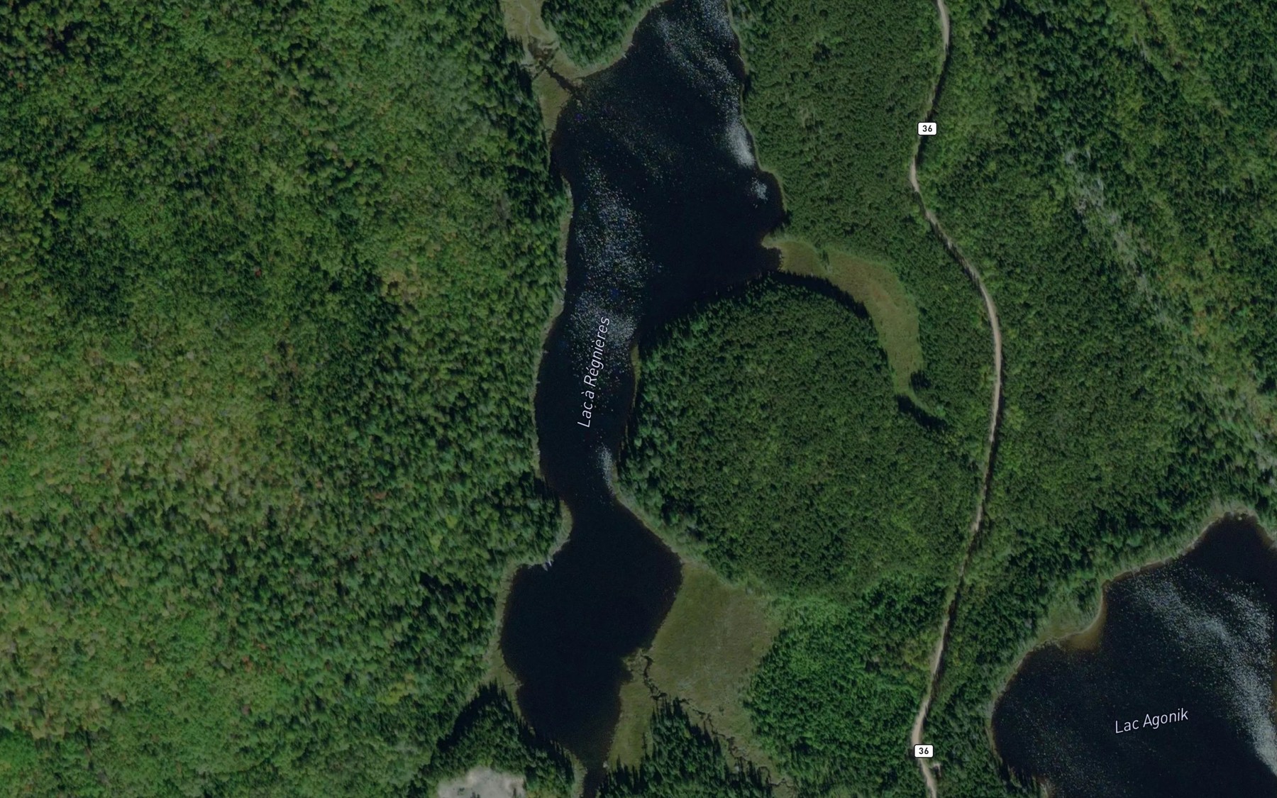 Satellite map of the Lac a Regnieres