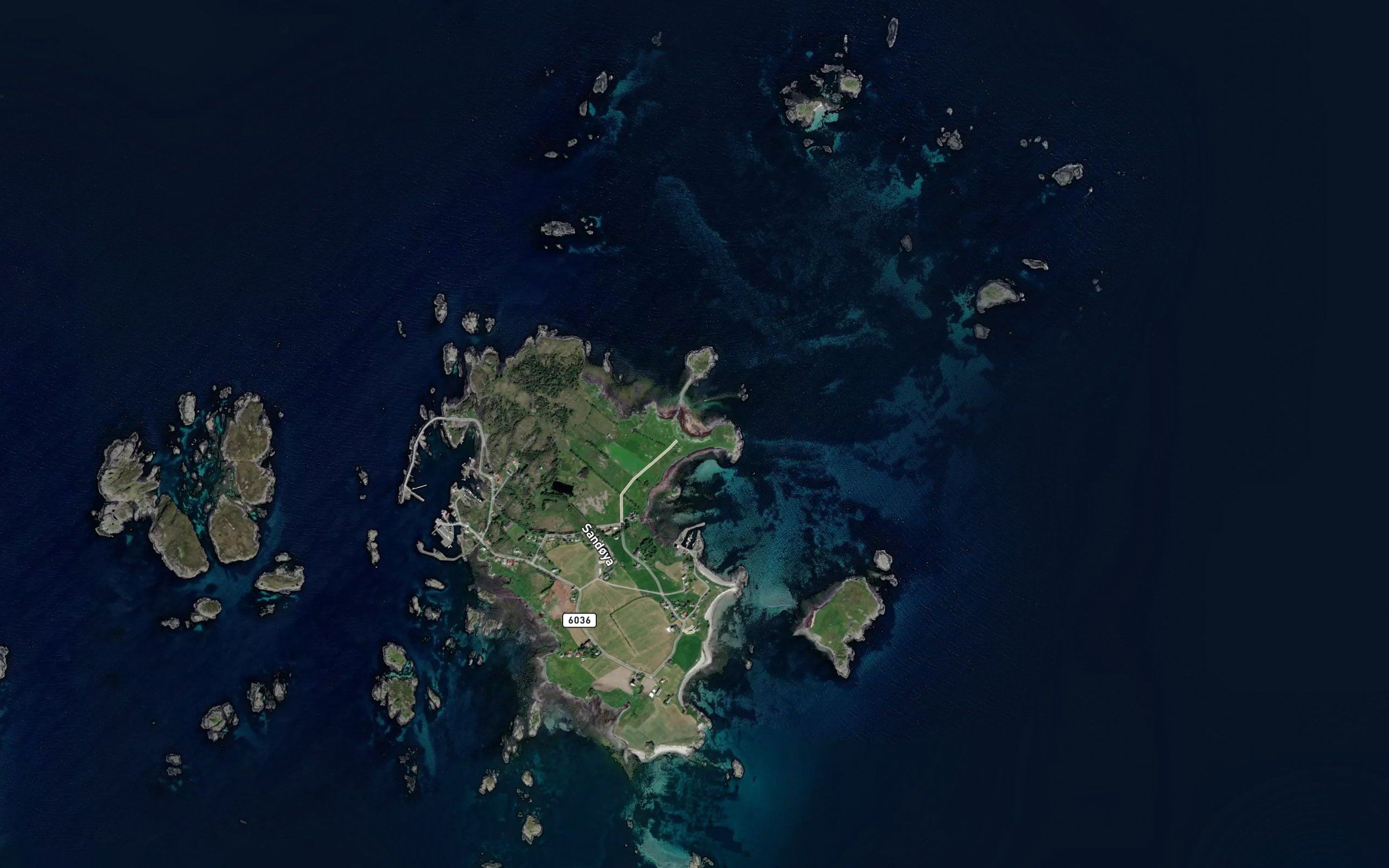 Nesfjora