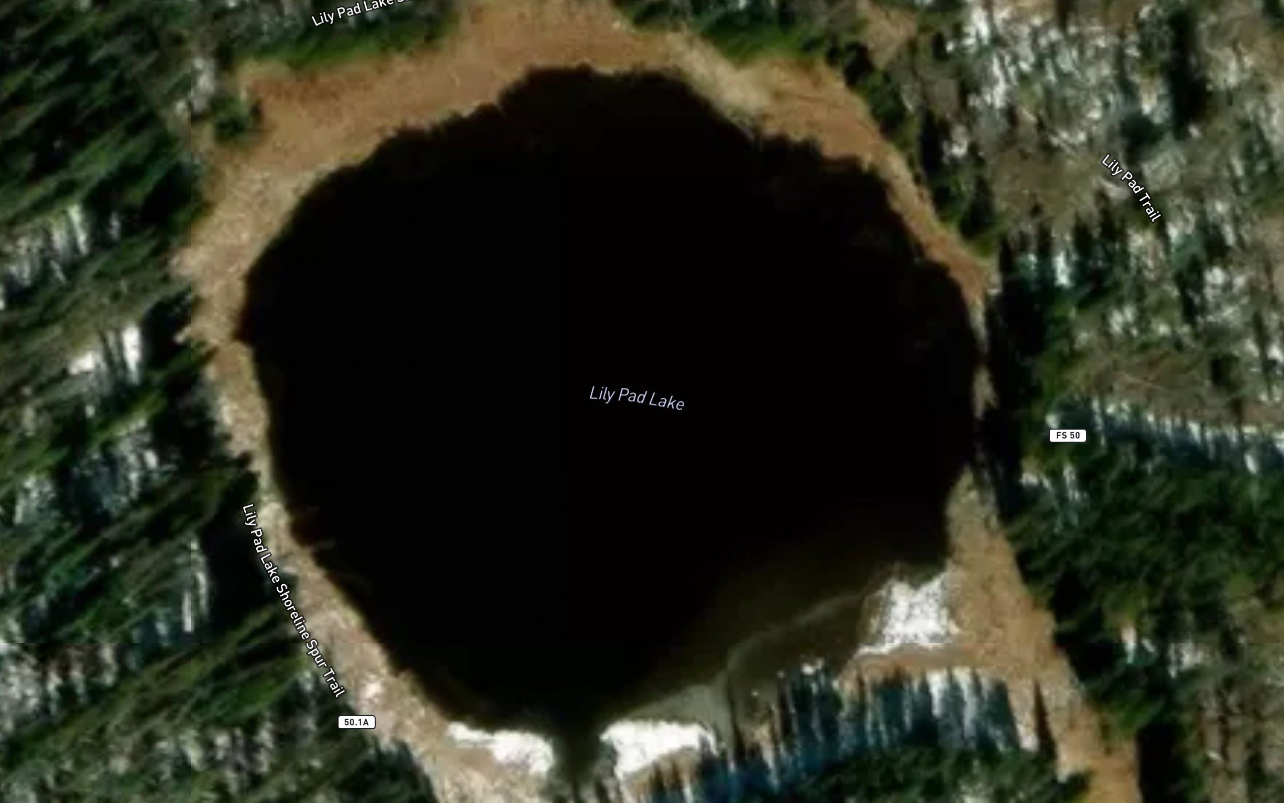 Lily Pad Lake